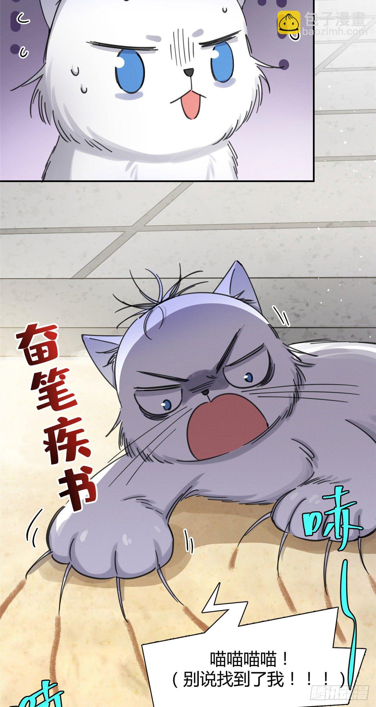 《今天也要努力当只猫》第9话 我是裴臻 第23页