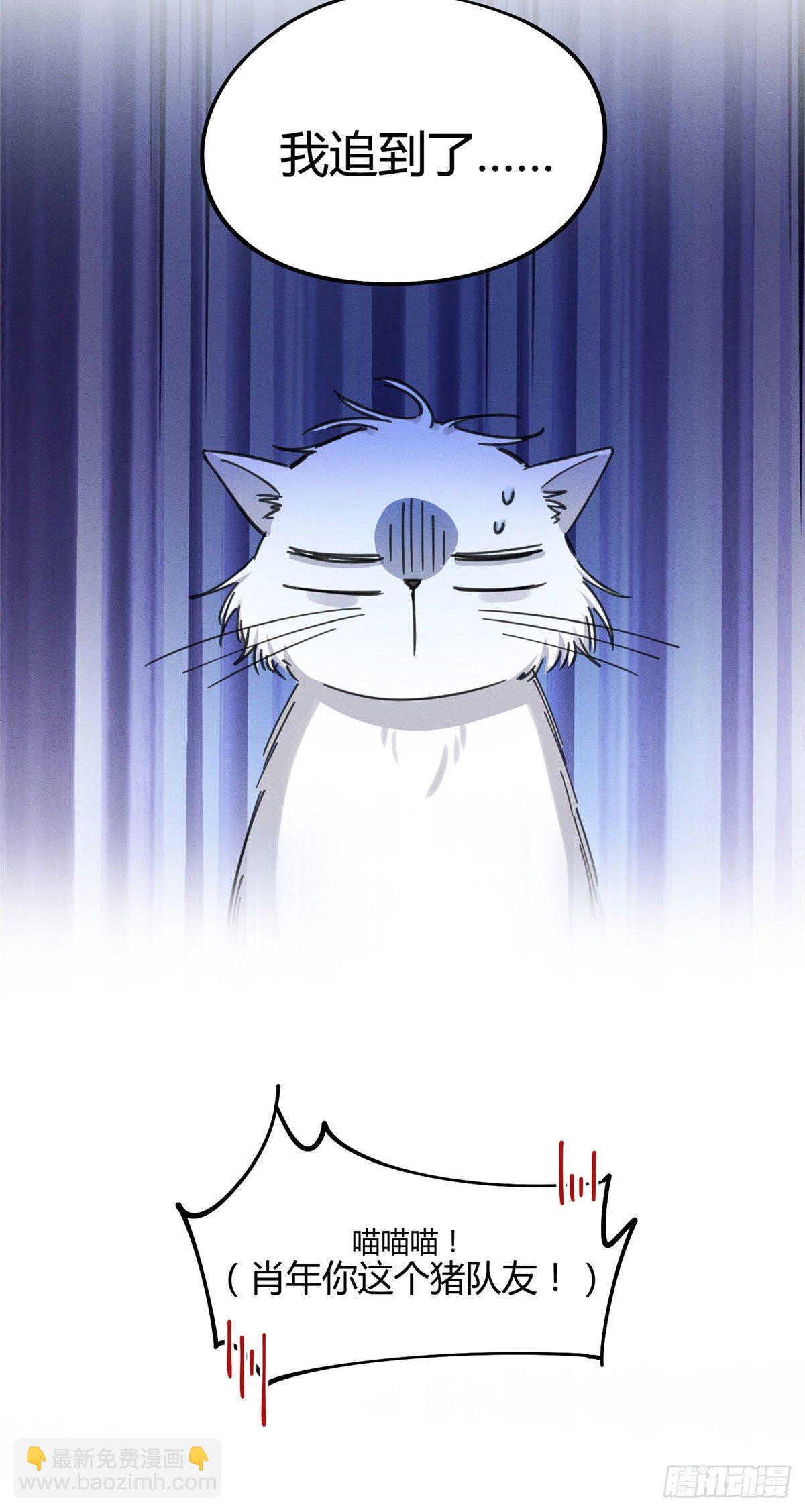 《今天也要努力当只猫》第9话 我是裴臻 第25页