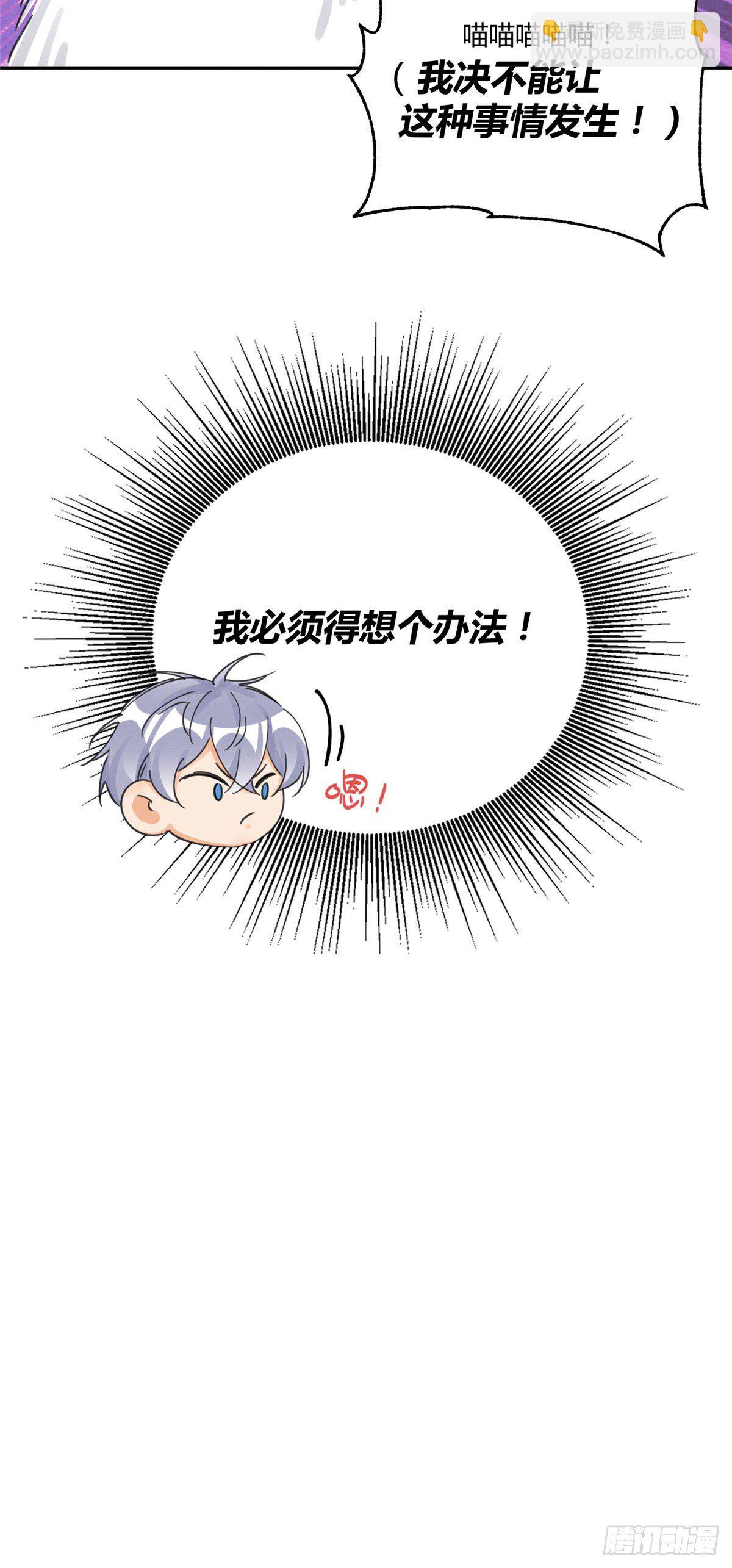 《今天也要努力当只猫》第9话 我是裴臻 第5页