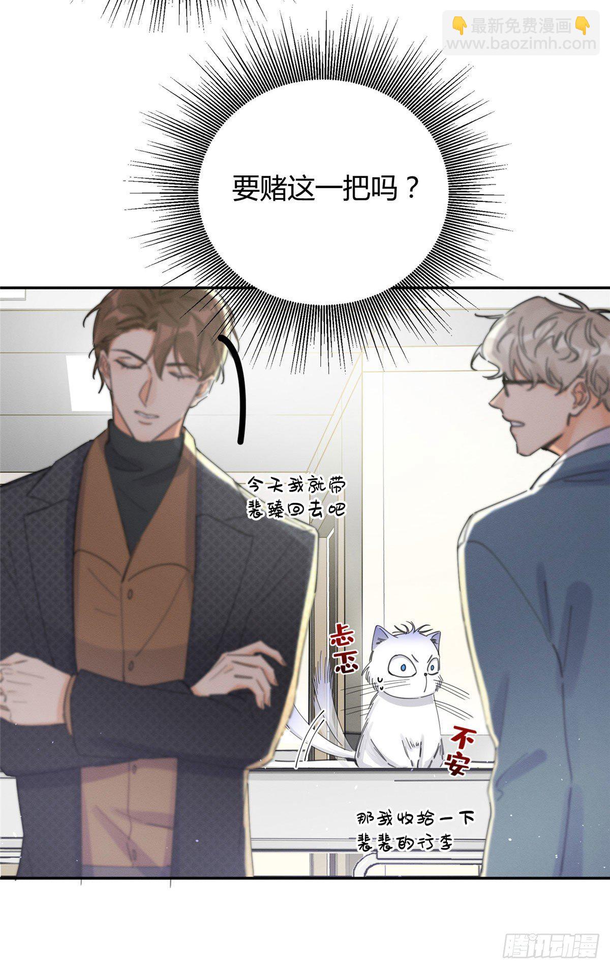 《今天也要努力当只猫》第9话 我是裴臻 第7页