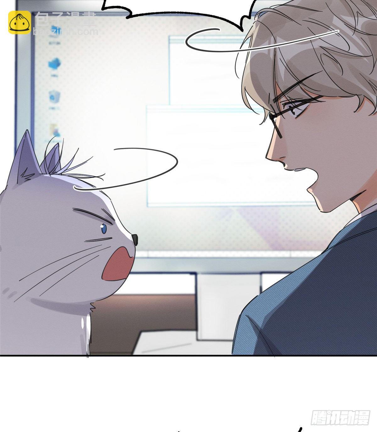 《今天也要努力当只猫》第10话 傅司晨来了 第17页