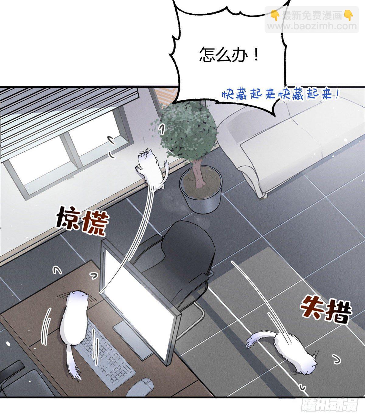 《今天也要努力当只猫》第10话 傅司晨来了 第18页