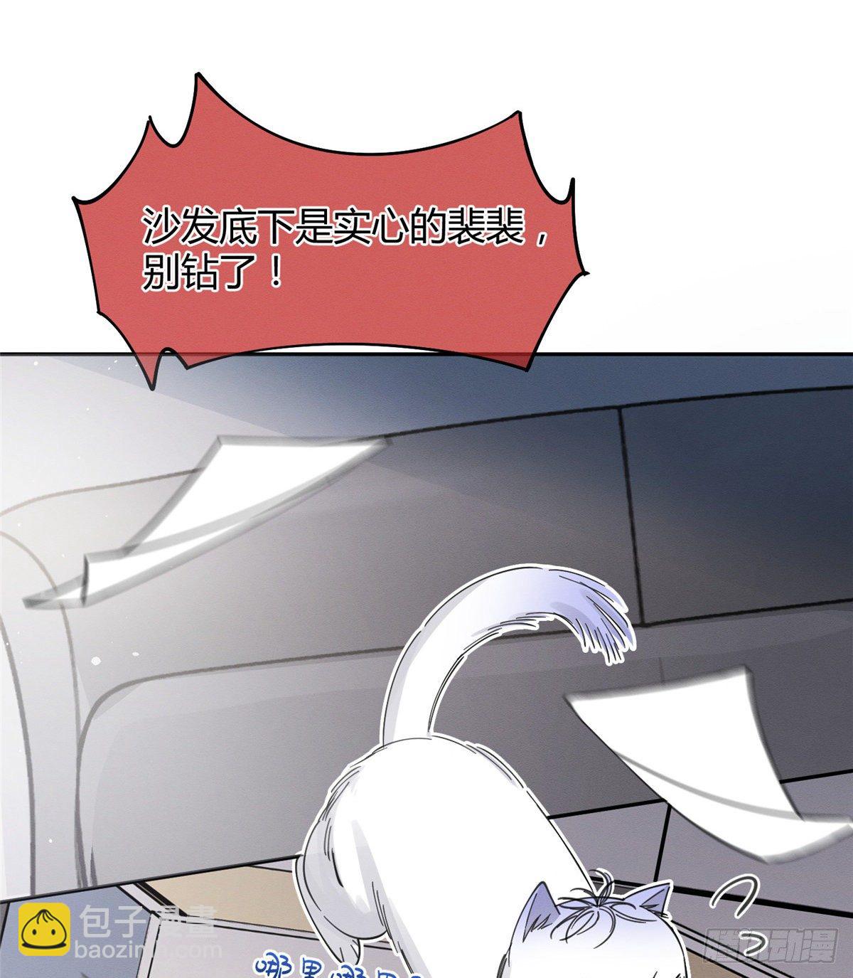 《今天也要努力当只猫》第10话 傅司晨来了 第19页