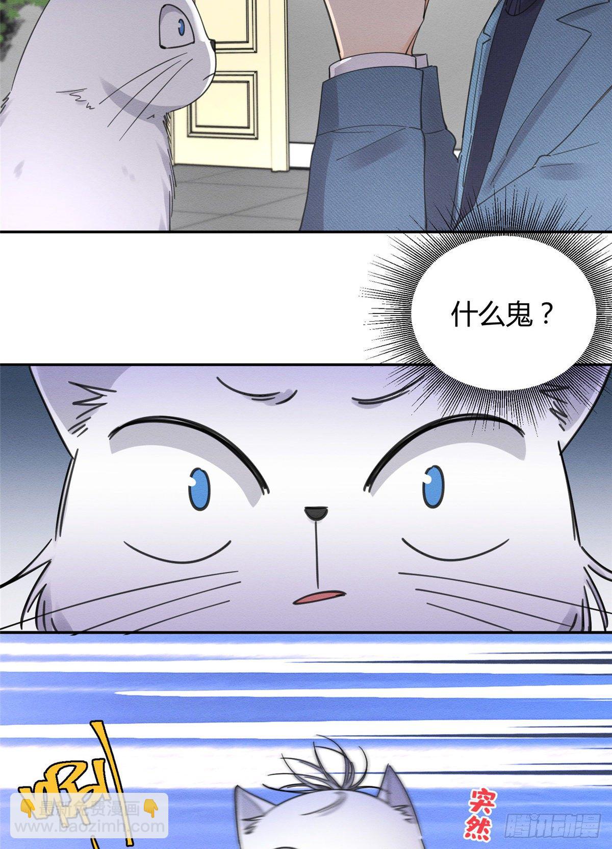 《今天也要努力当只猫》第10话 傅司晨来了 第25页