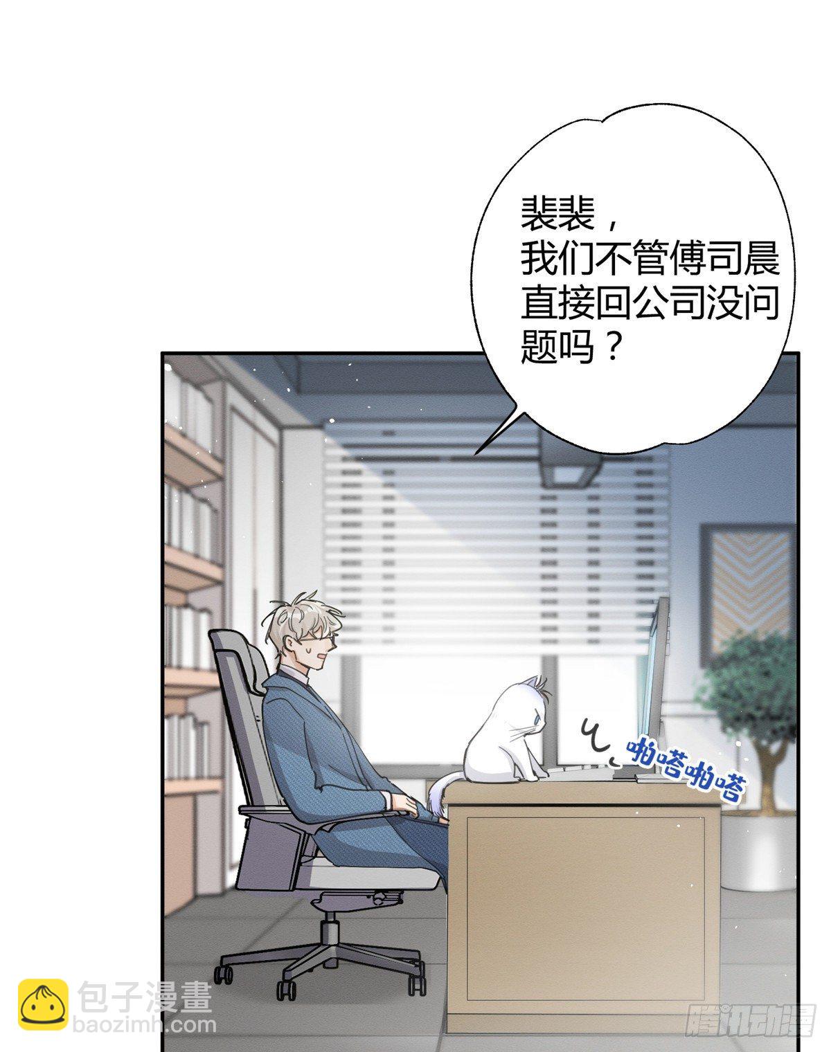 《今天也要努力当只猫》第10话 傅司晨来了 第8页