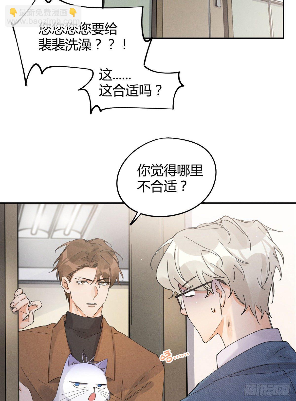 《今天也要努力当只猫》第12话 洗澡？！ 第11页