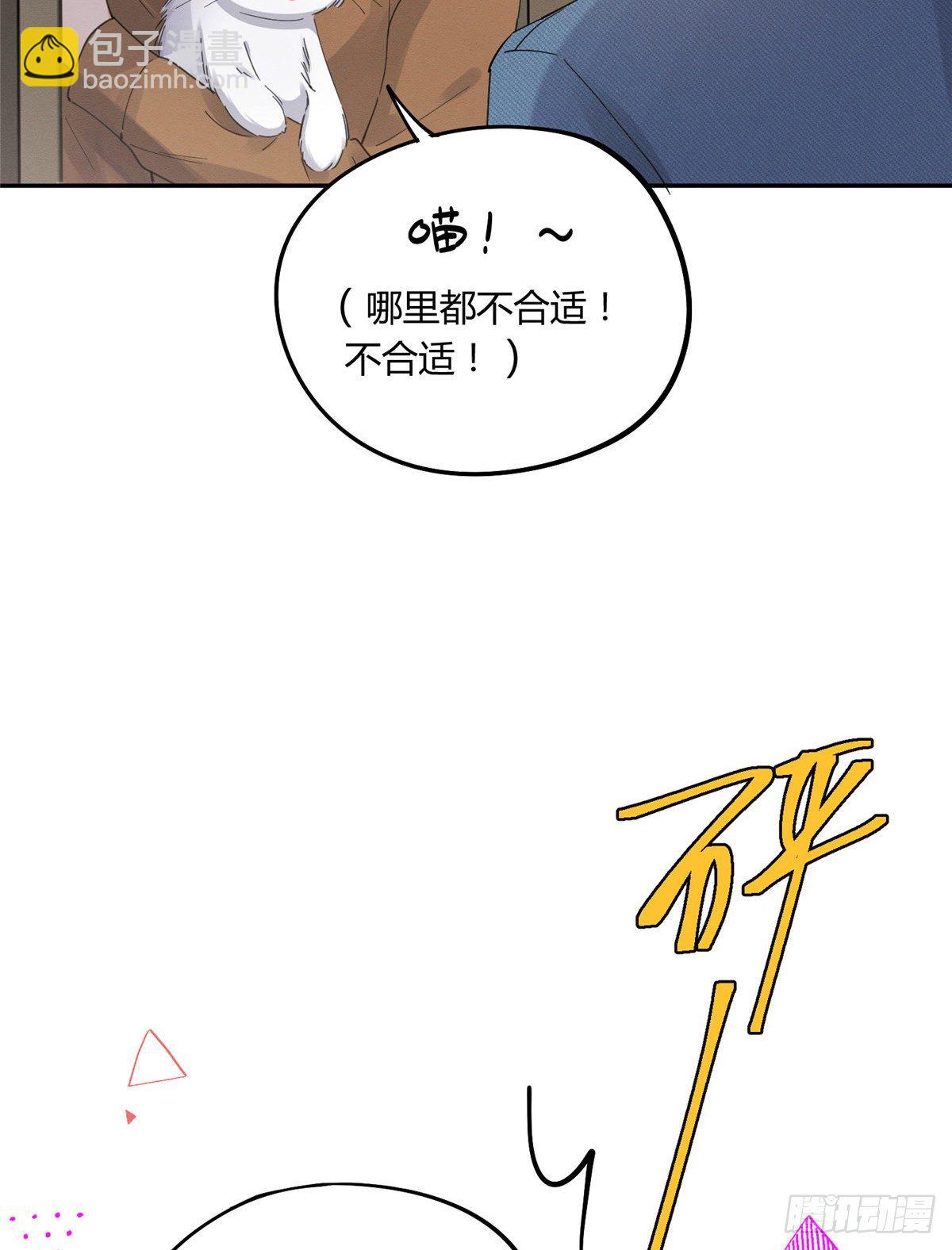 《今天也要努力当只猫》第12话 洗澡？！ 第12页