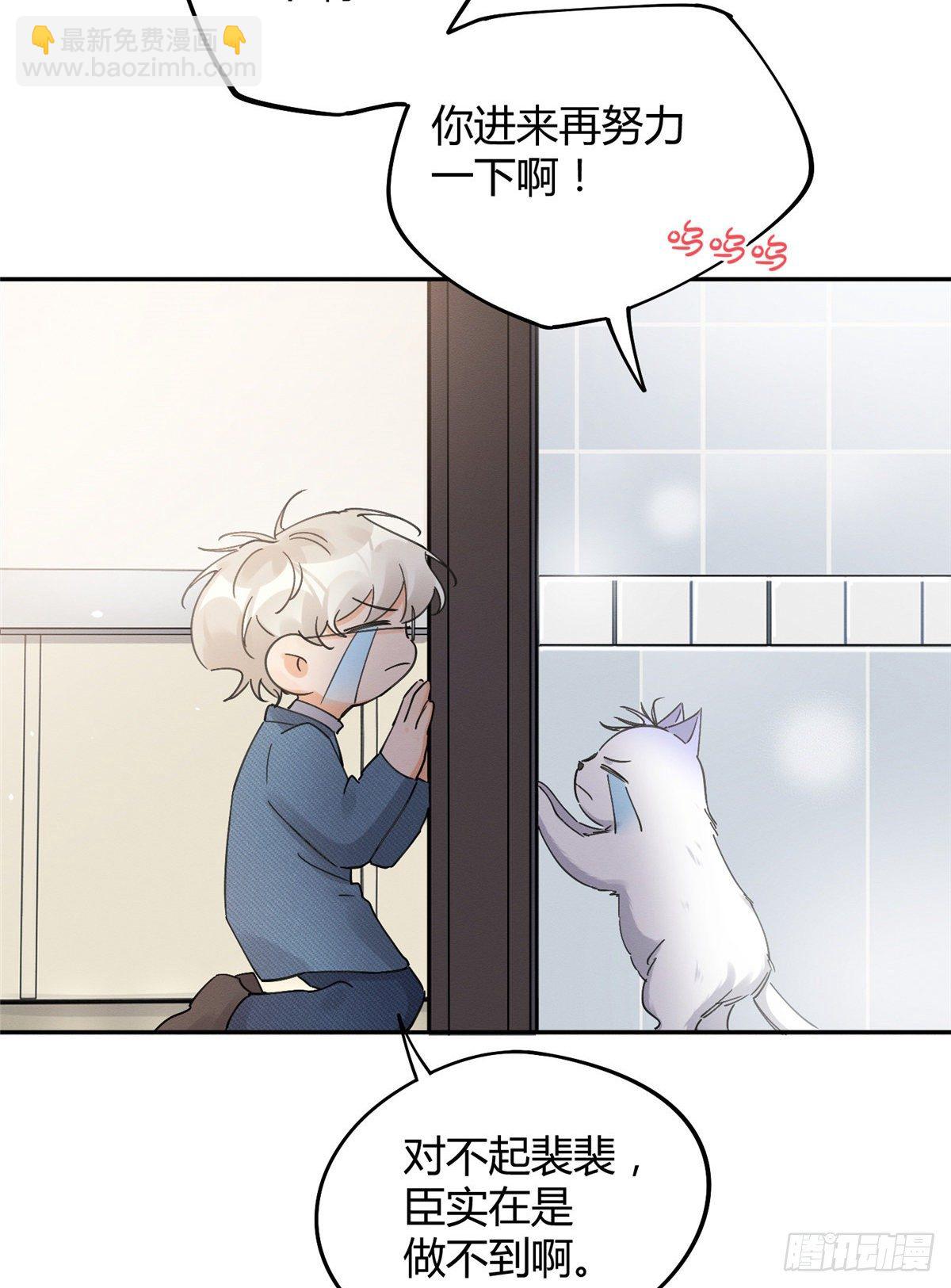 《今天也要努力当只猫》第12话 洗澡？！ 第14页