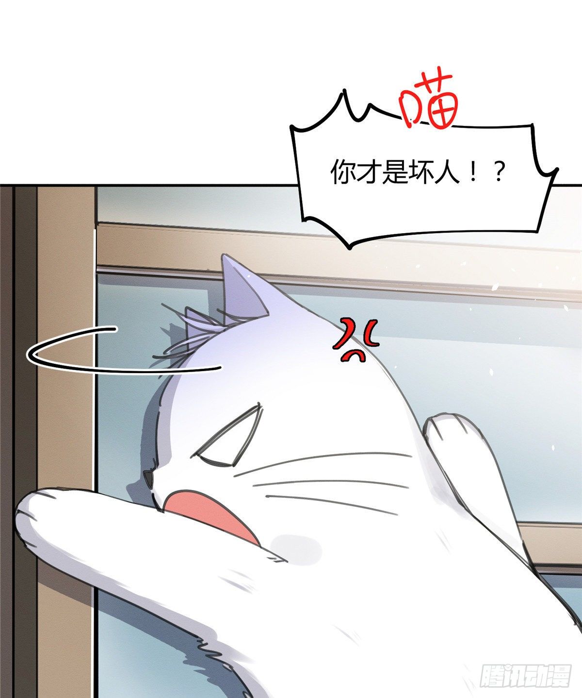 《今天也要努力当只猫》第12话 洗澡？！ 第16页