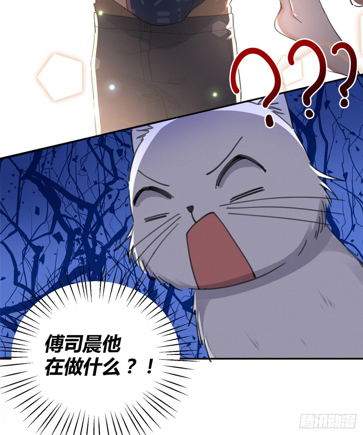 《今天也要努力当只猫》第12话 洗澡？！ 第18页