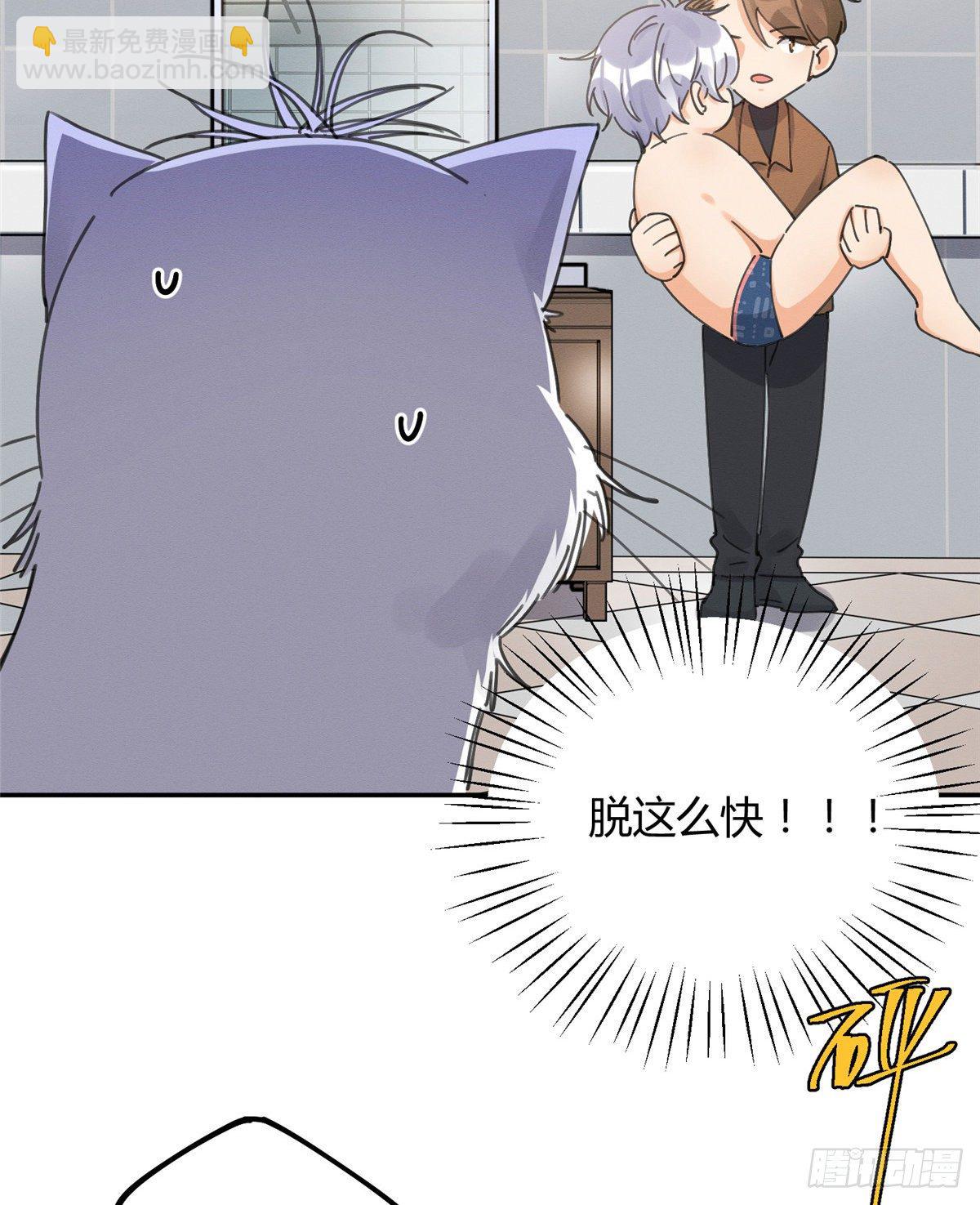 《今天也要努力当只猫》第12话 洗澡？！ 第20页