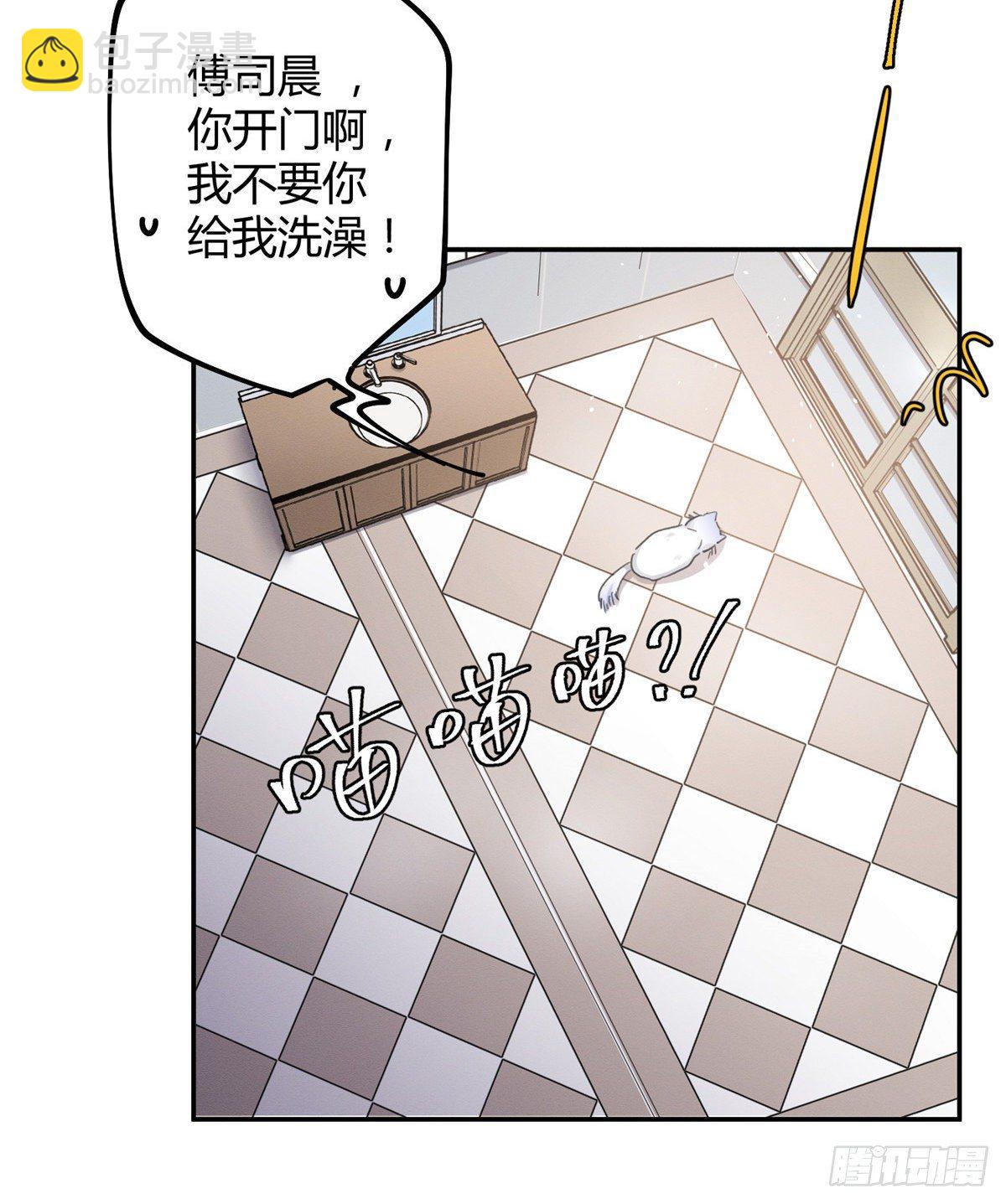 《今天也要努力当只猫》第12话 洗澡？！ 第21页