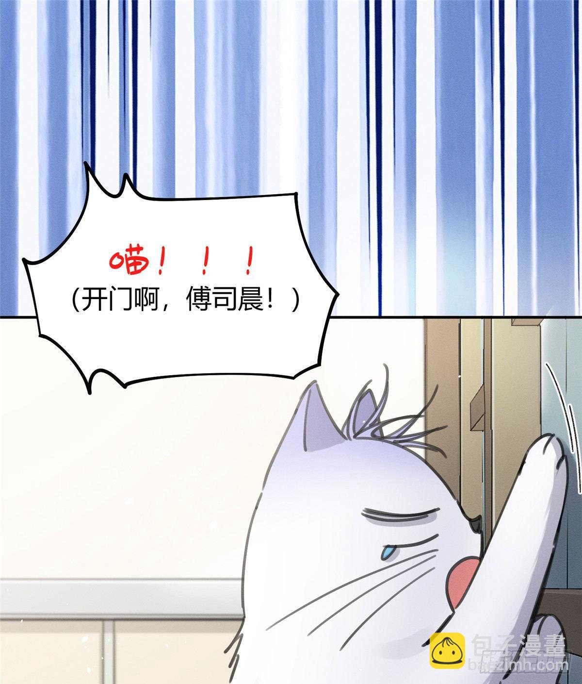 《今天也要努力当只猫》第12话 洗澡？！ 第22页