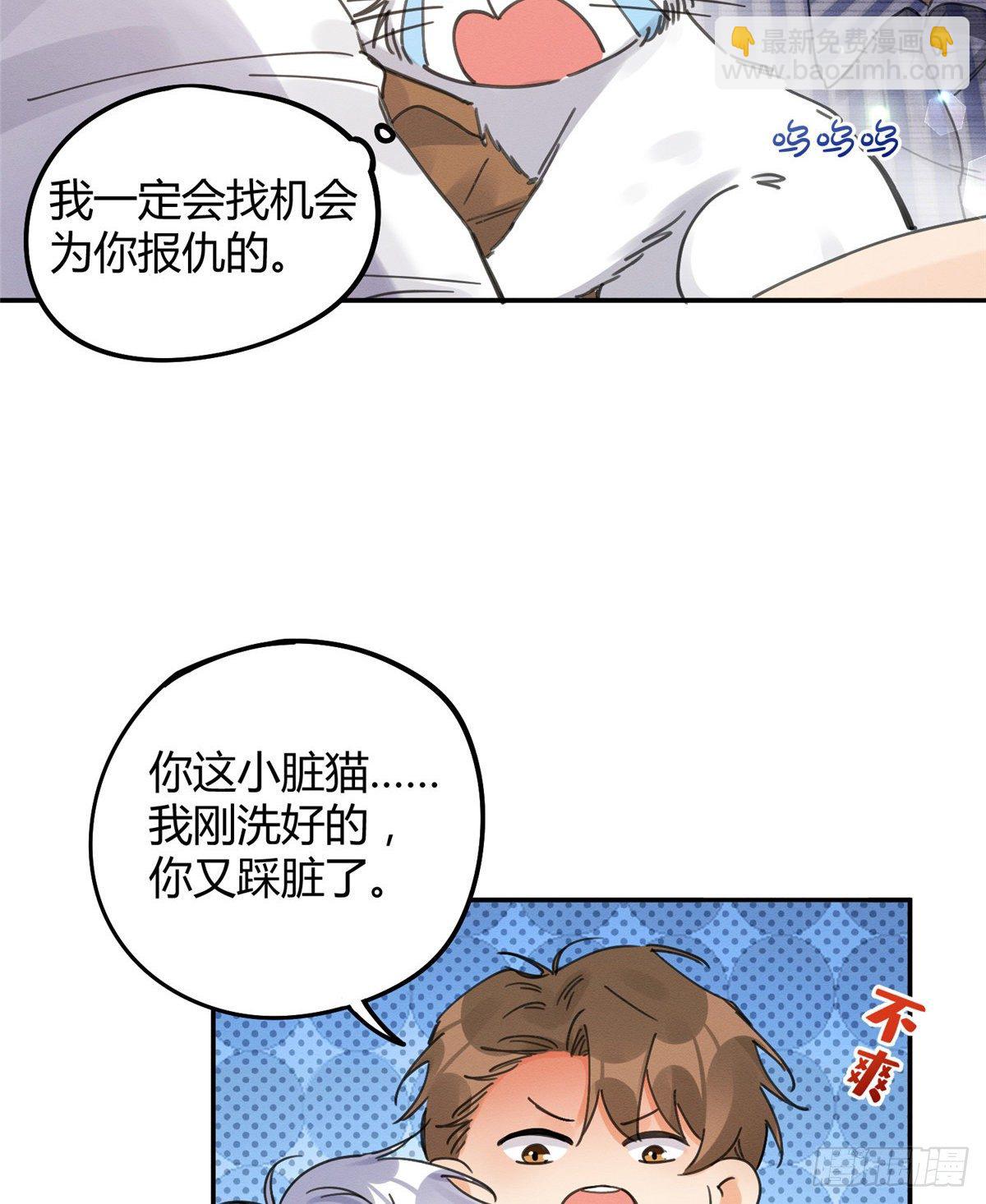 《今天也要努力当只猫》第12话 洗澡？！ 第31页