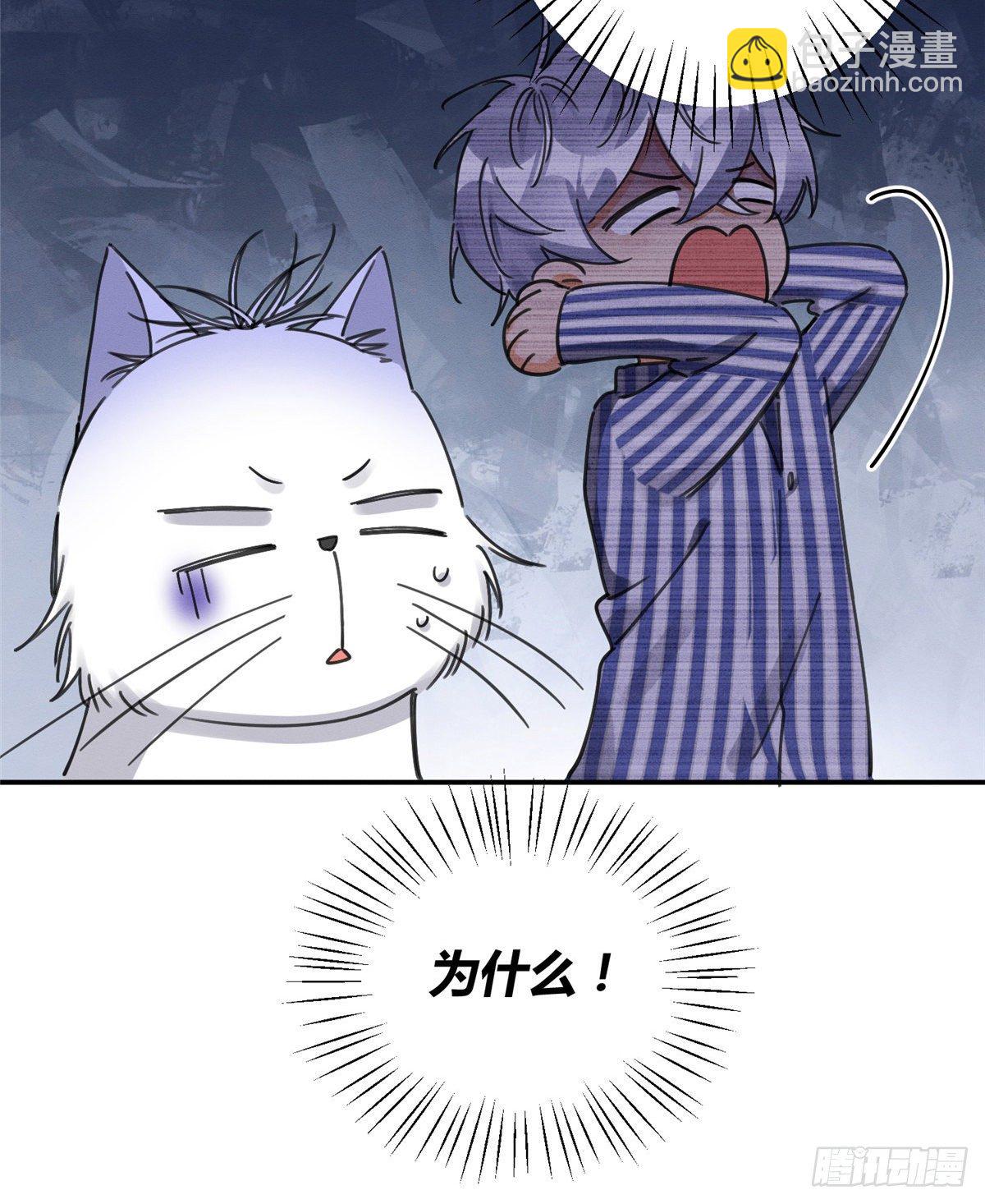 《今天也要努力当只猫》第12话 洗澡？！ 第34页