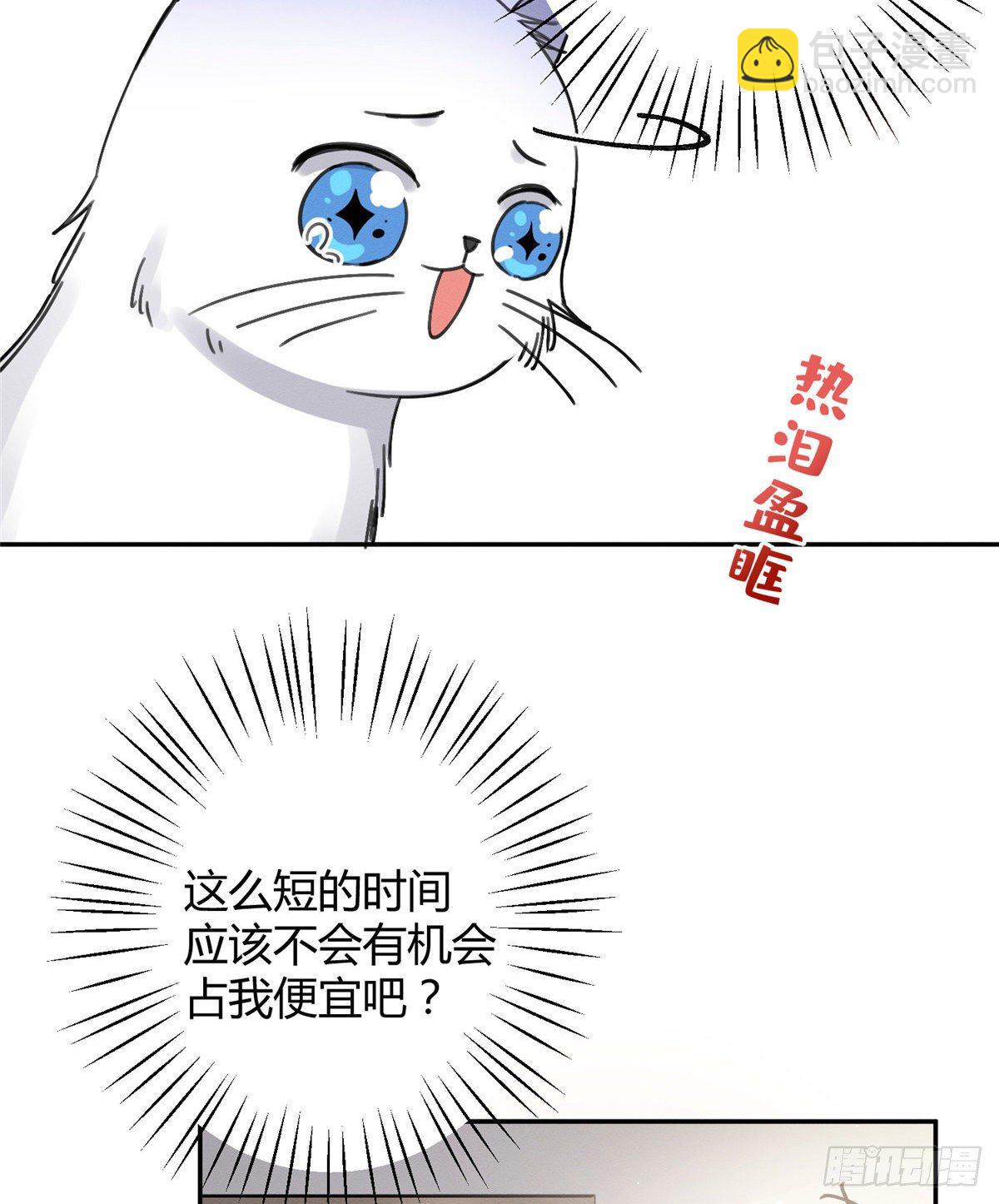 《今天也要努力当只猫》第12话 洗澡？！ 第36页