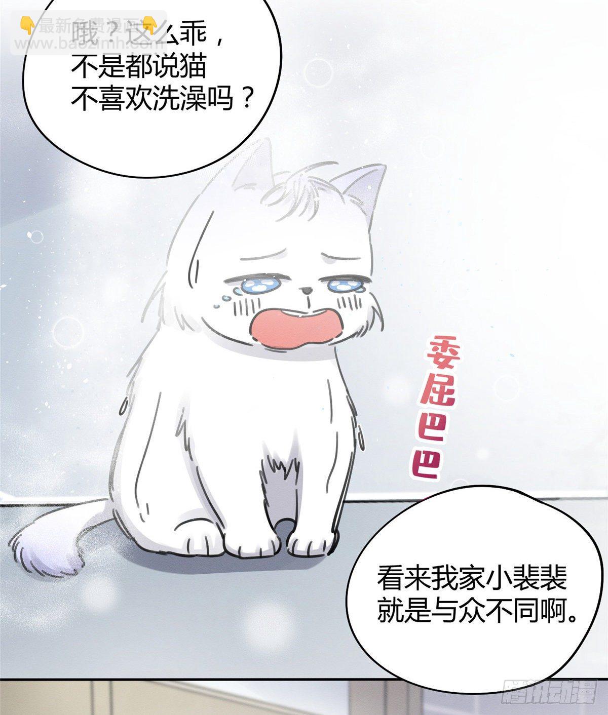《今天也要努力当只猫》第12话 洗澡？！ 第43页