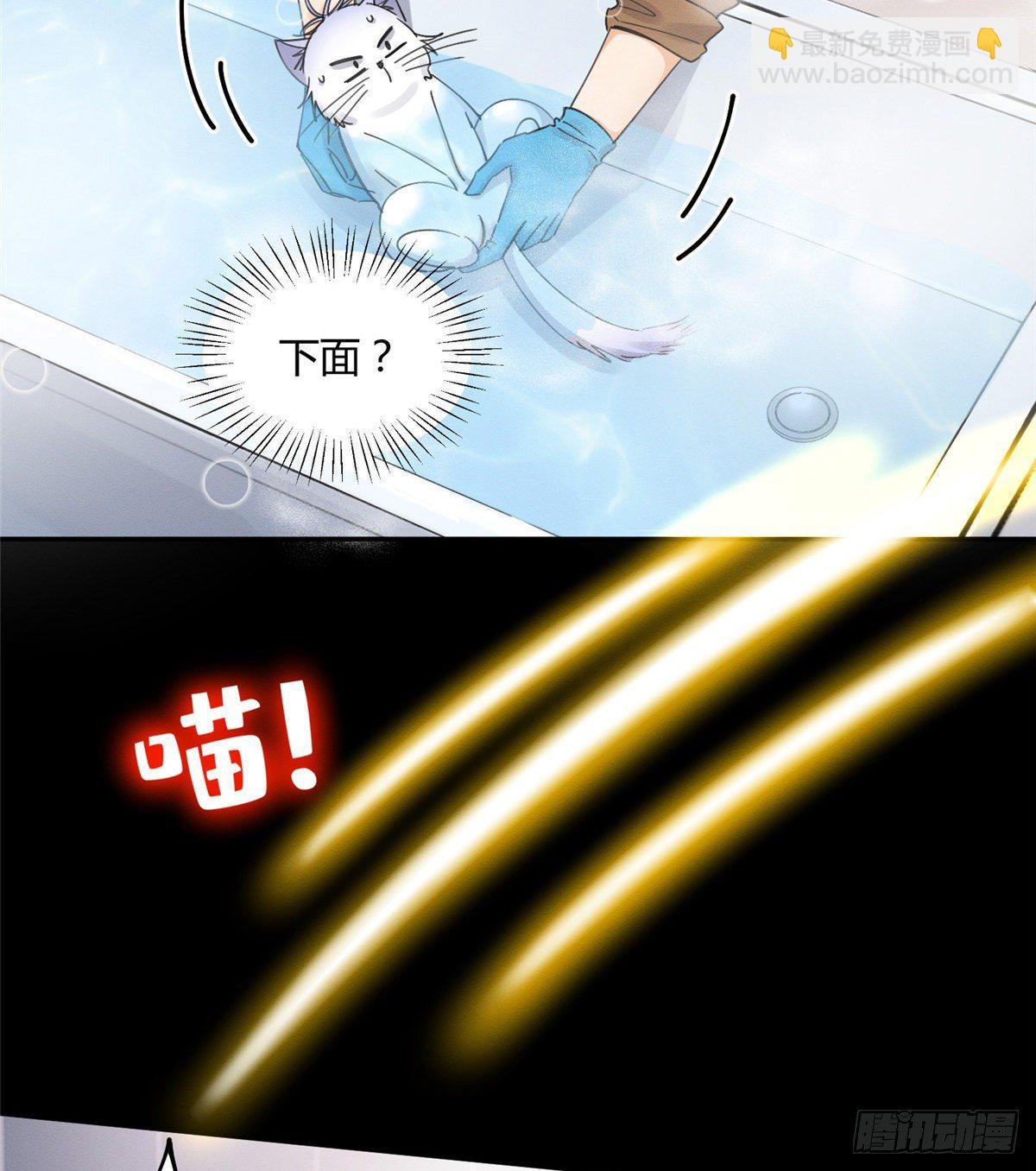 《今天也要努力当只猫》第12话 洗澡？！ 第45页
