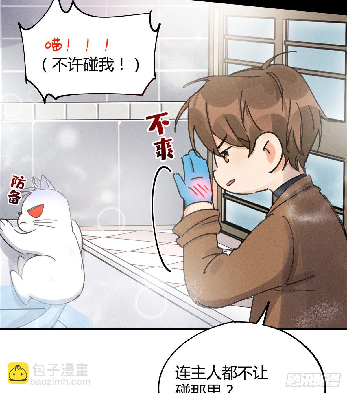 《今天也要努力当只猫》第12话 洗澡？！ 第46页