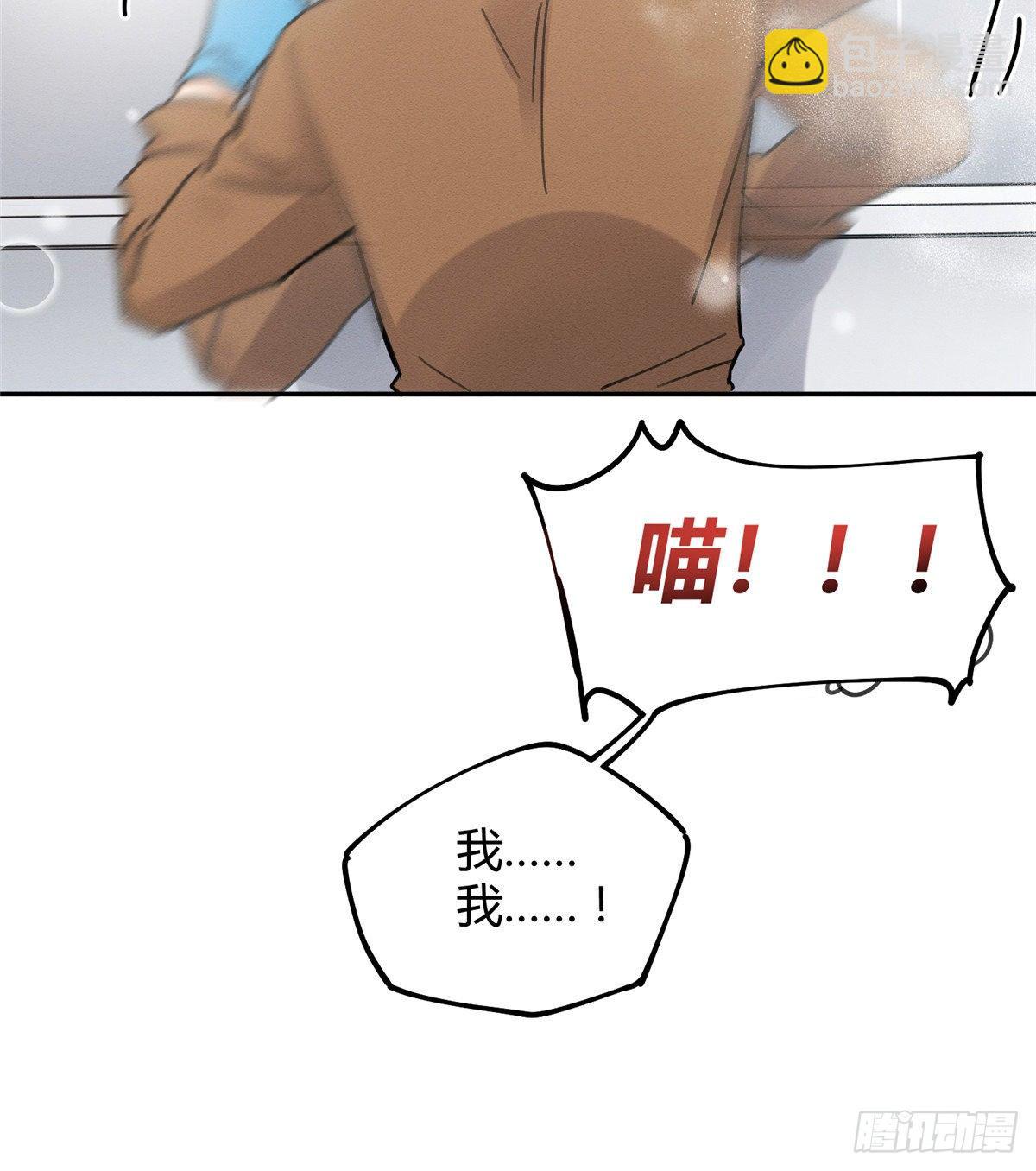 《今天也要努力当只猫》第12话 洗澡？！ 第49页