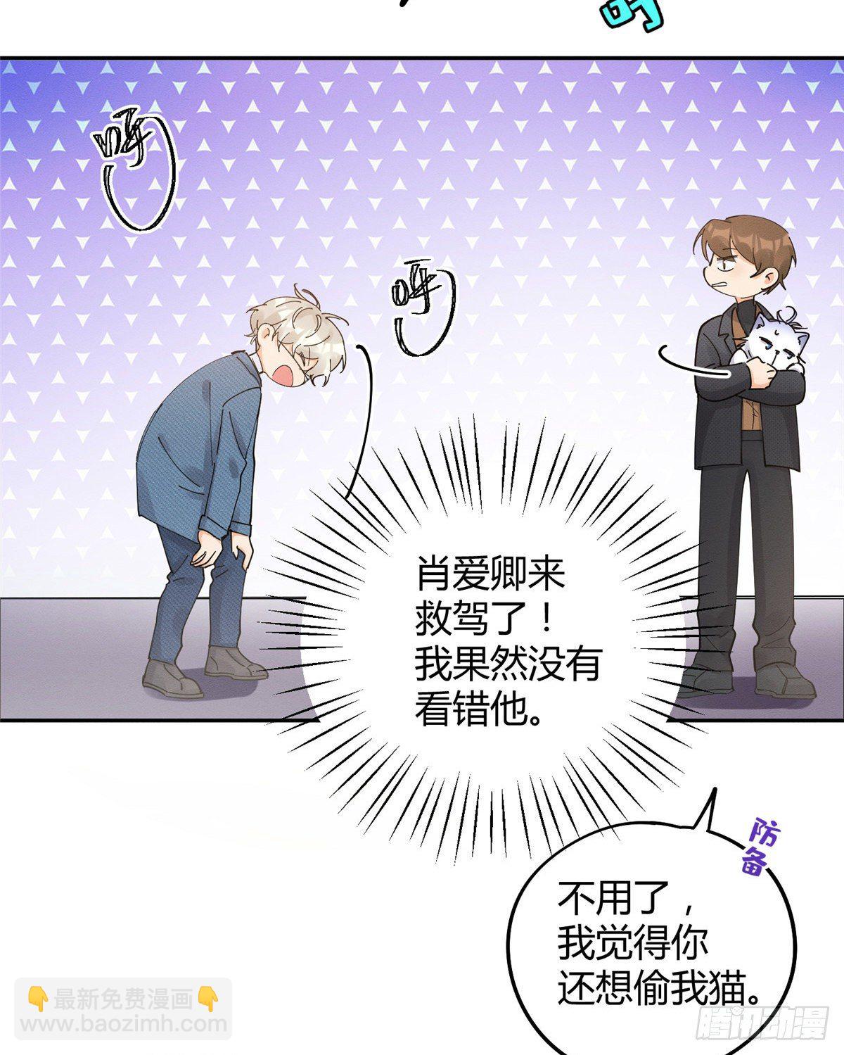 《今天也要努力当只猫》第12话 洗澡？！ 第4页