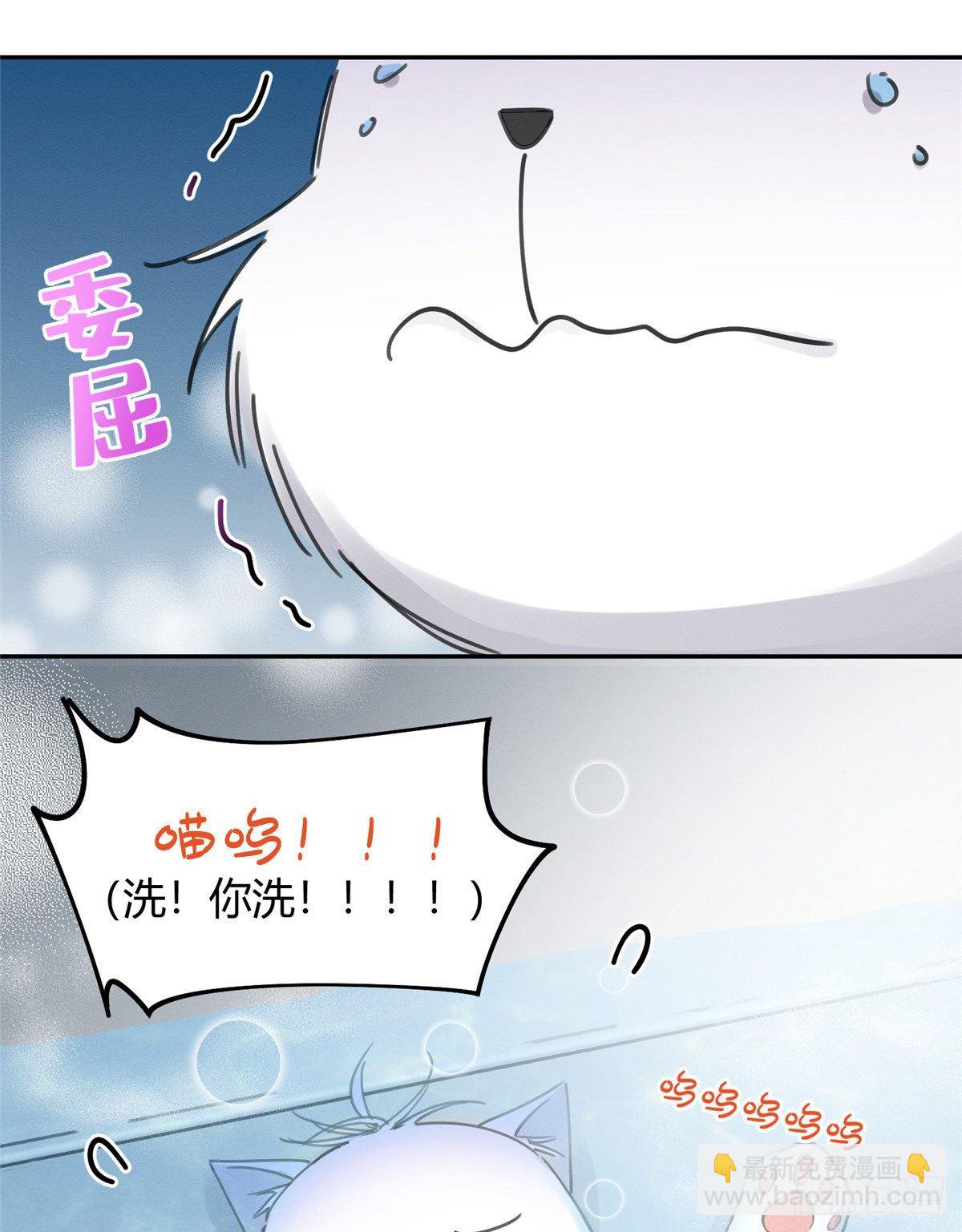 《今天也要努力当只猫》第12话 洗澡？！ 第50页
