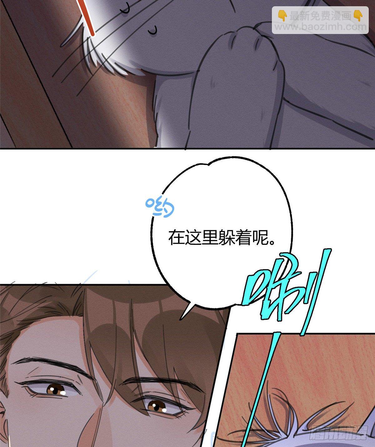 《今天也要努力当只猫》第11话 不要亲！ 第11页
