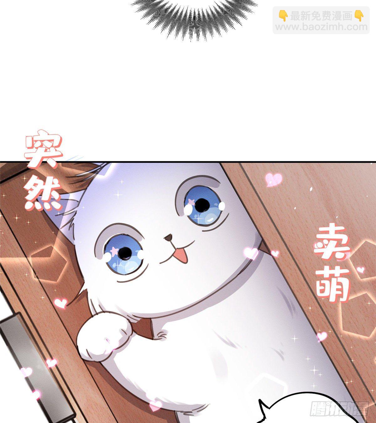 《今天也要努力当只猫》第11话 不要亲！ 第14页