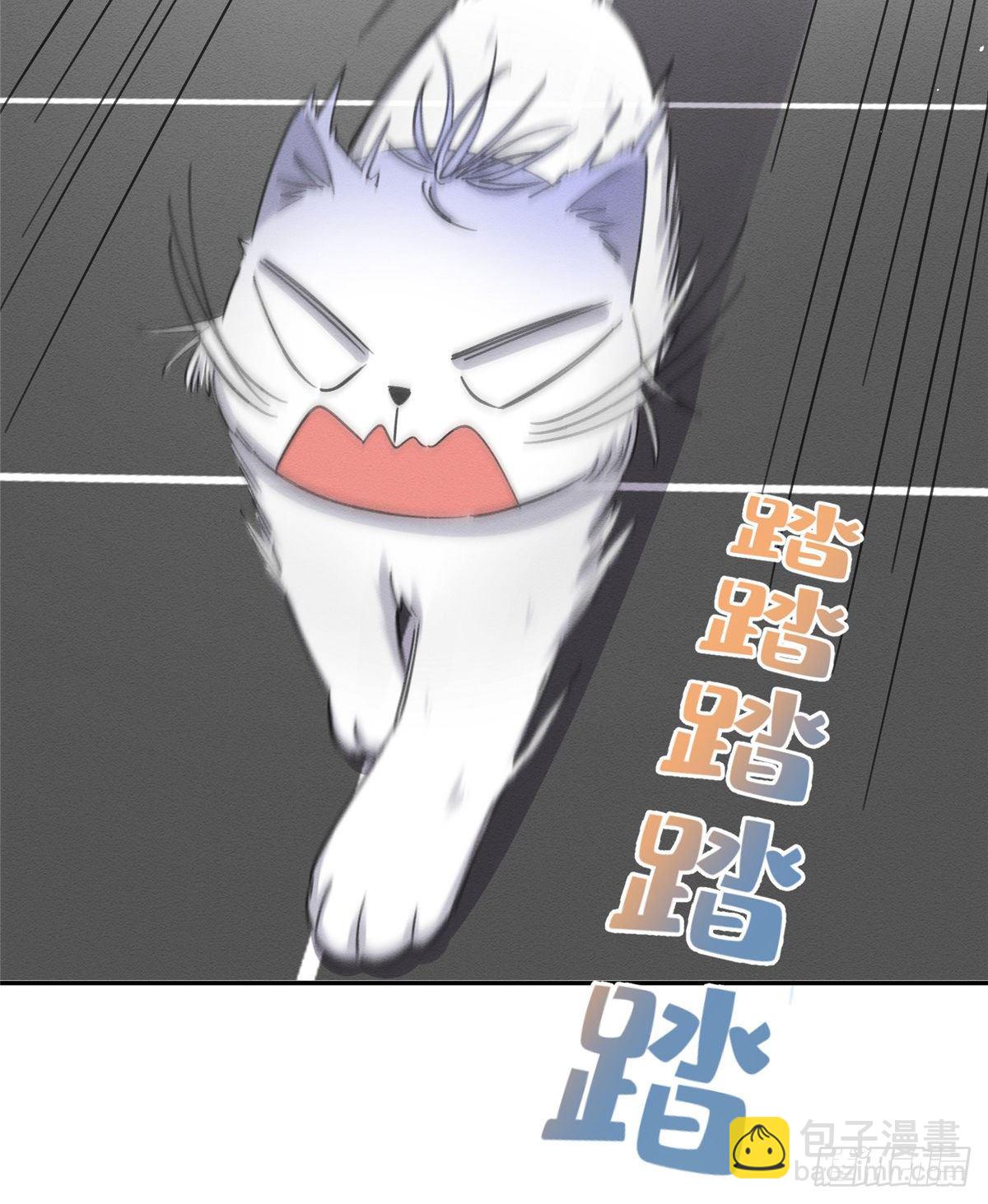 《今天也要努力当只猫》第11话 不要亲！ 第17页