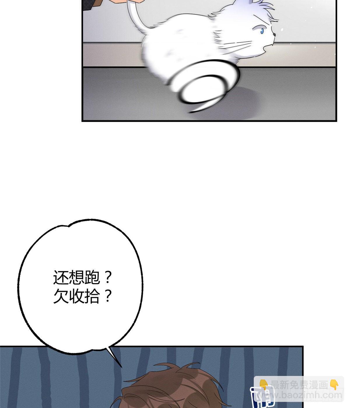 《今天也要努力当只猫》第11话 不要亲！ 第19页