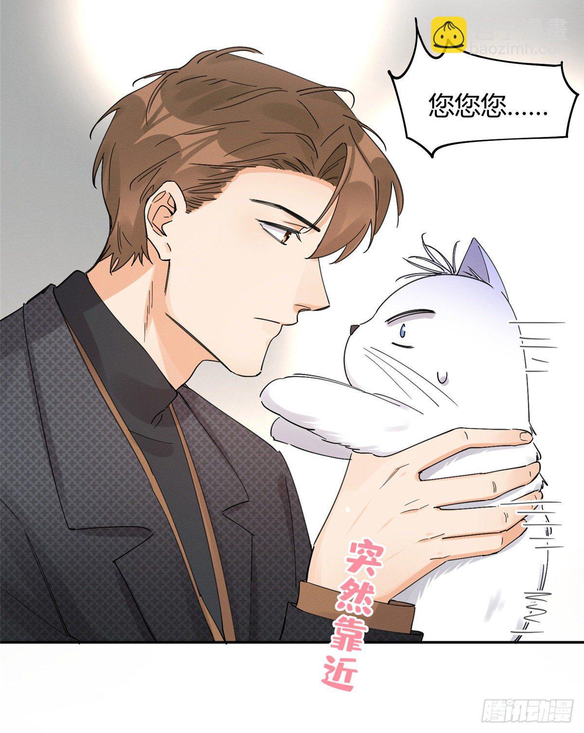 《今天也要努力当只猫》第11话 不要亲！ 第29页