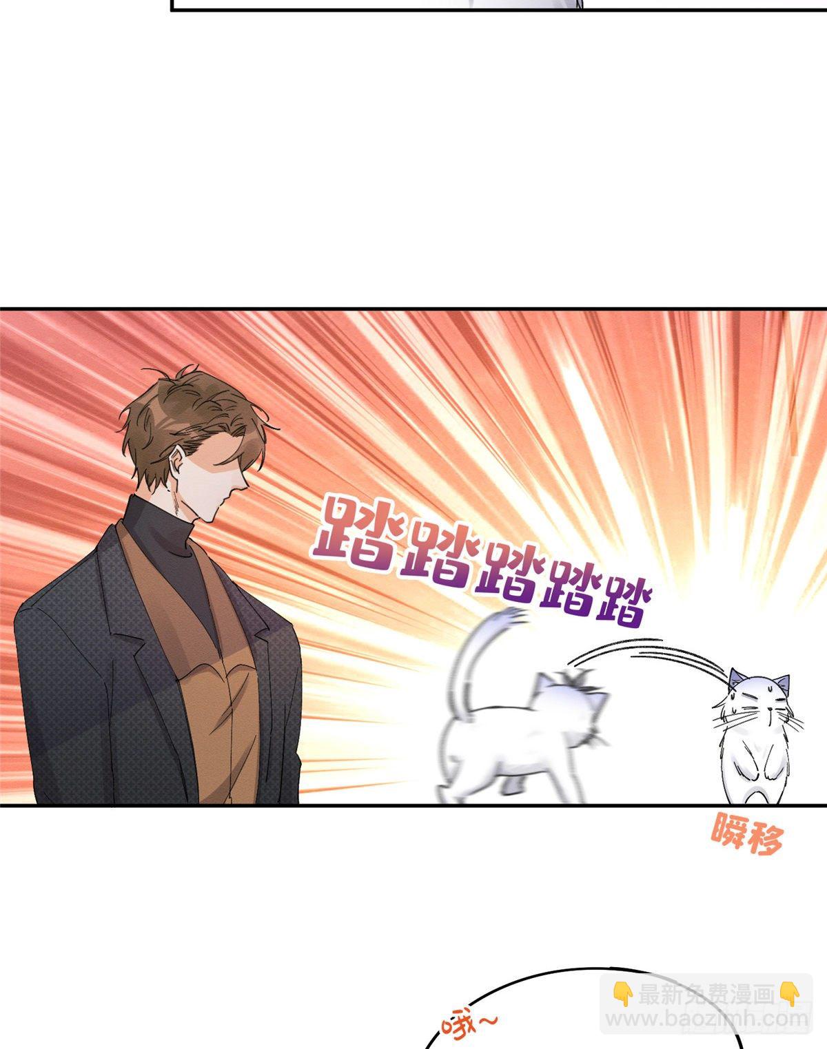 《今天也要努力当只猫》第11话 不要亲！ 第36页