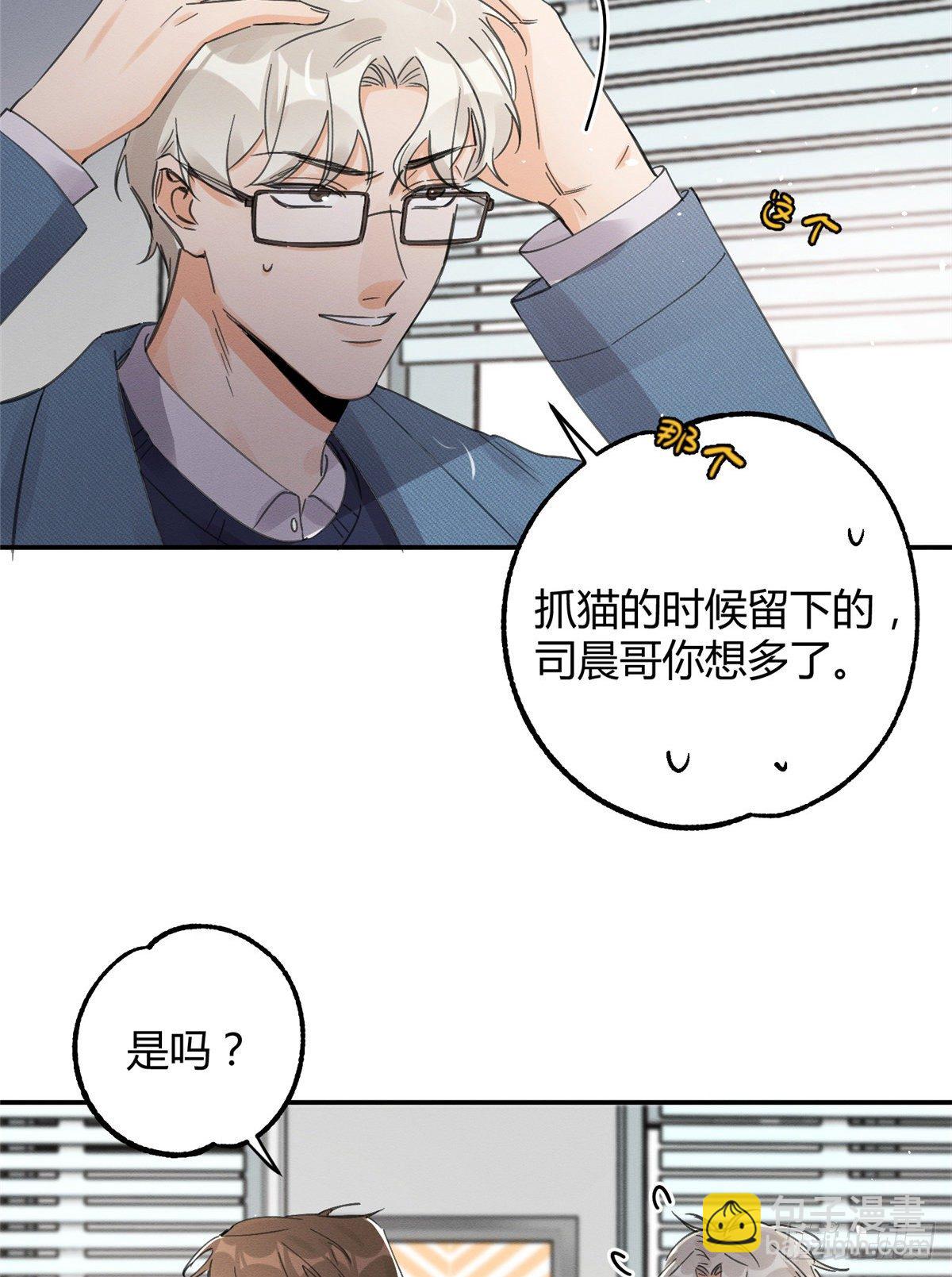 《今天也要努力当只猫》第11话 不要亲！ 第5页