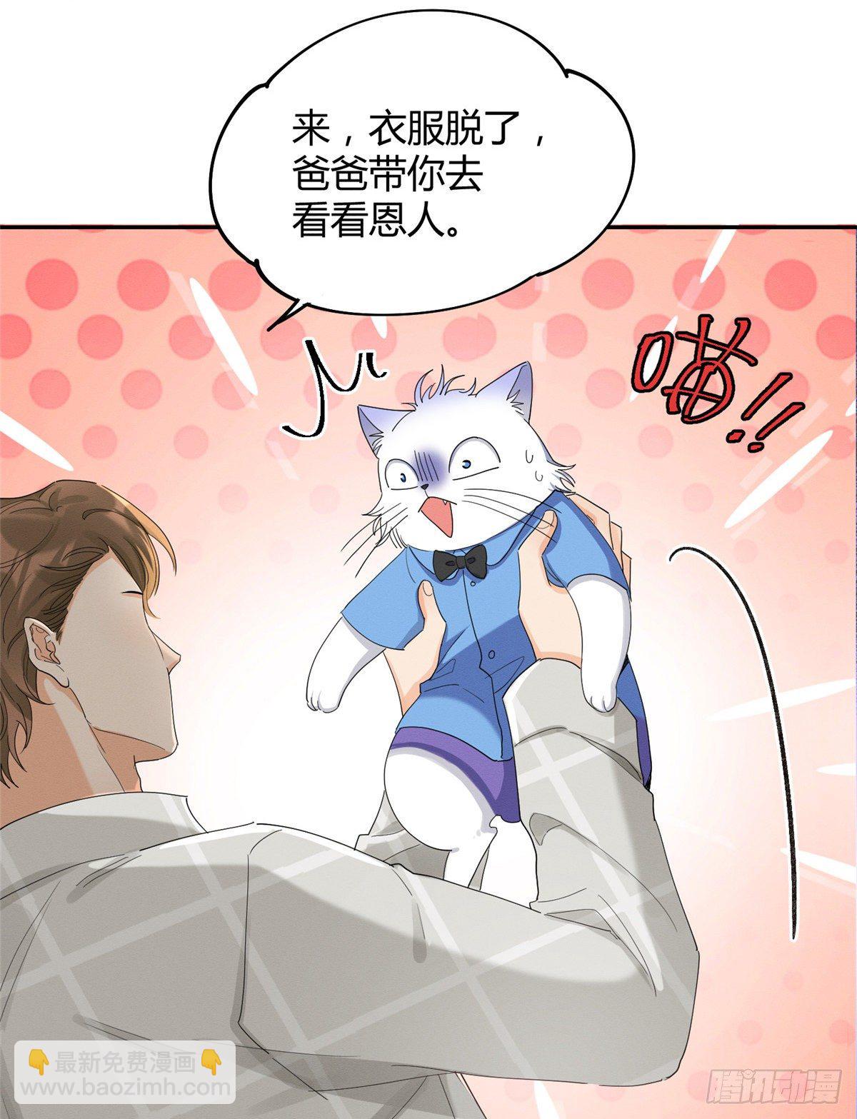 《今天也要努力当只猫》第15话 秘密 第16页