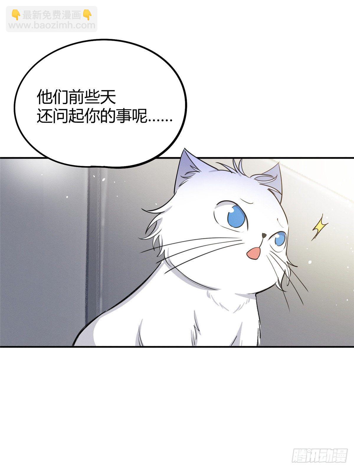《今天也要努力当只猫》第15话 秘密 第27页