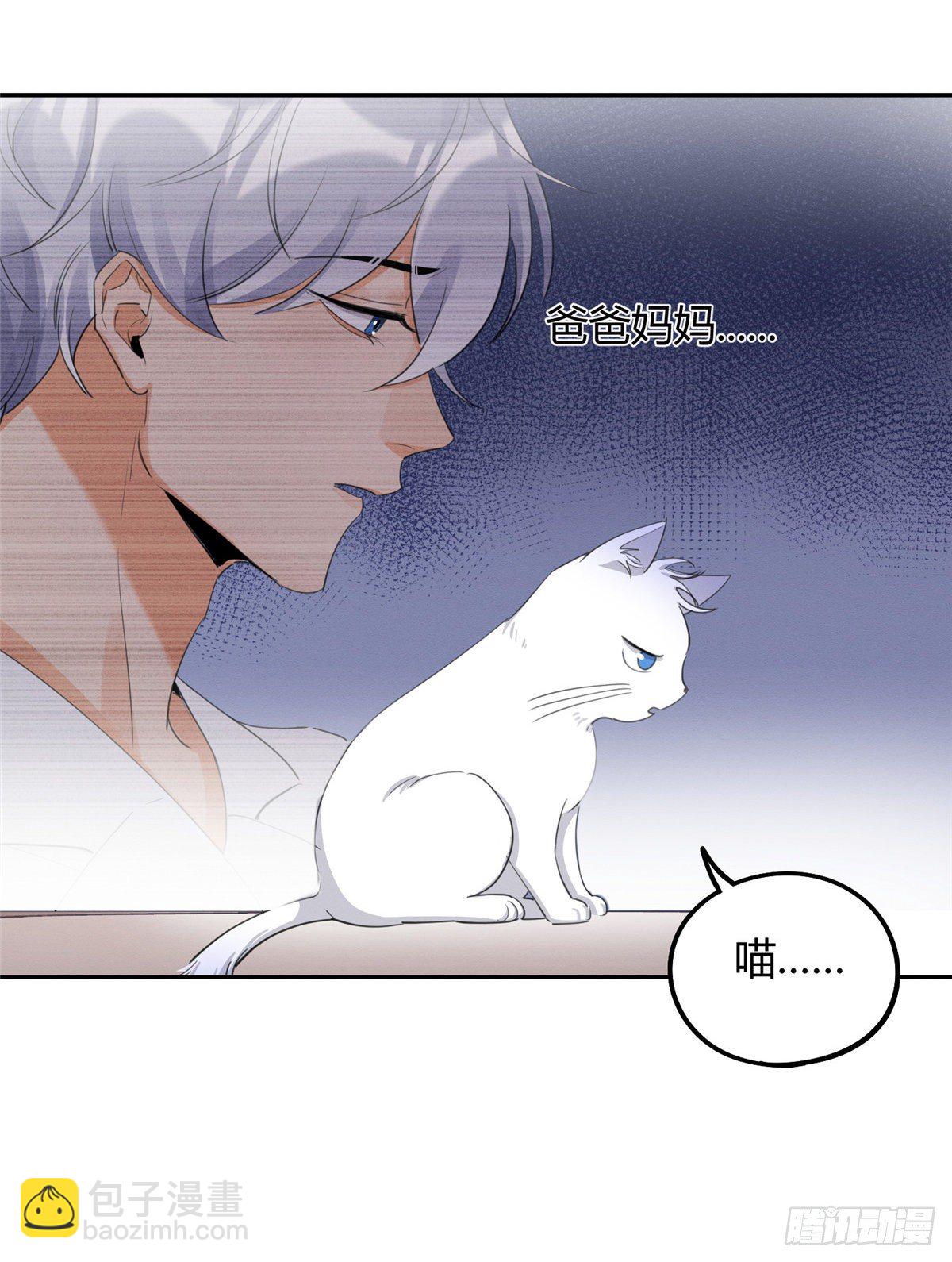 《今天也要努力当只猫》第15话 秘密 第29页