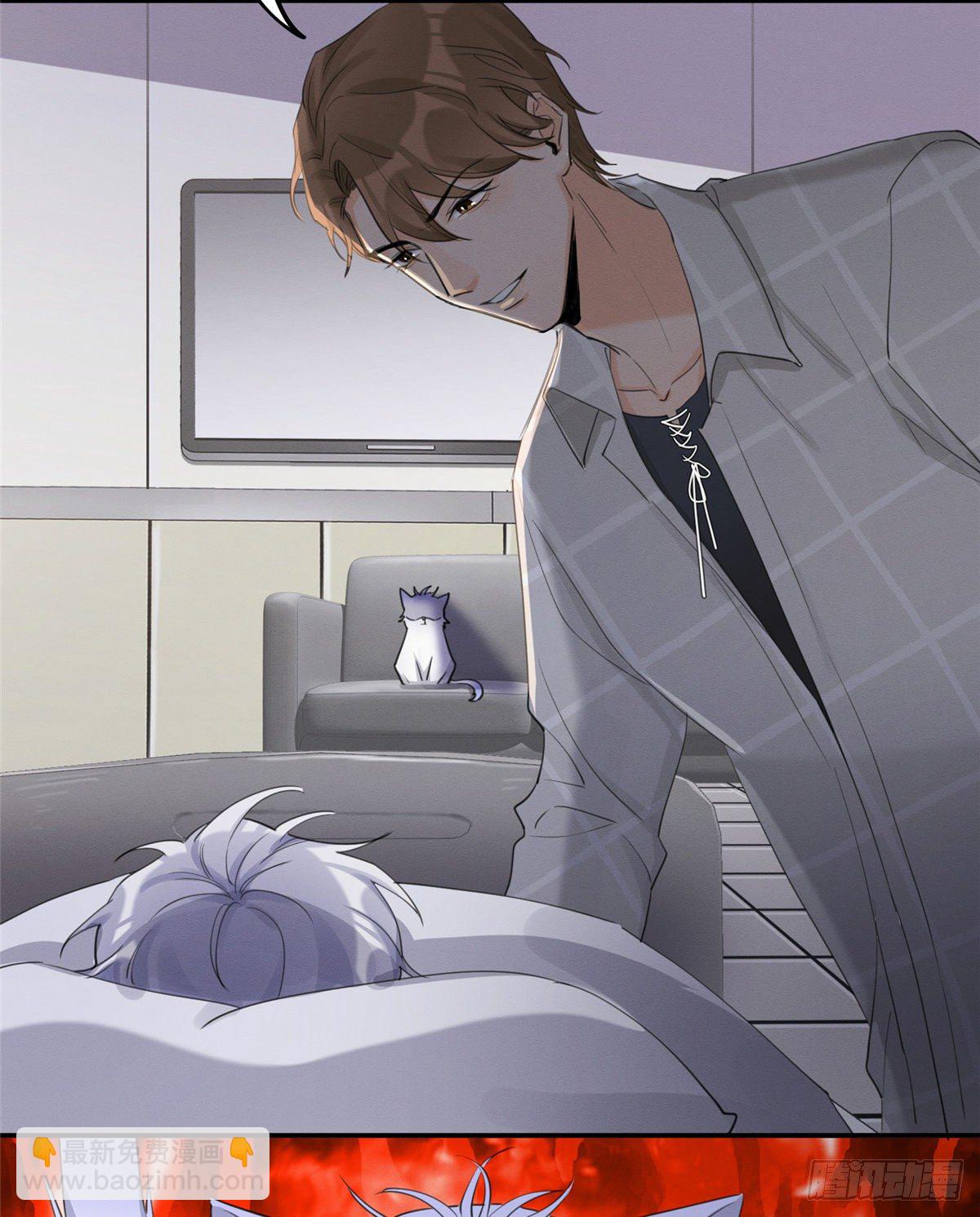 《今天也要努力当只猫》第15话 秘密 第36页