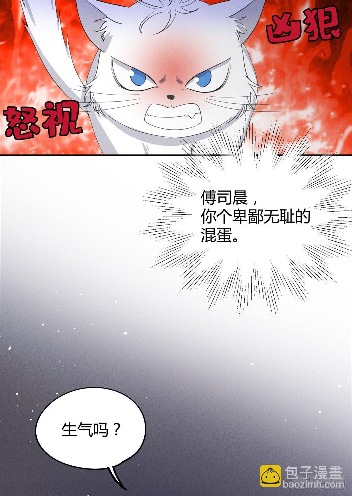 《今天也要努力当只猫》第15话 秘密 第37页