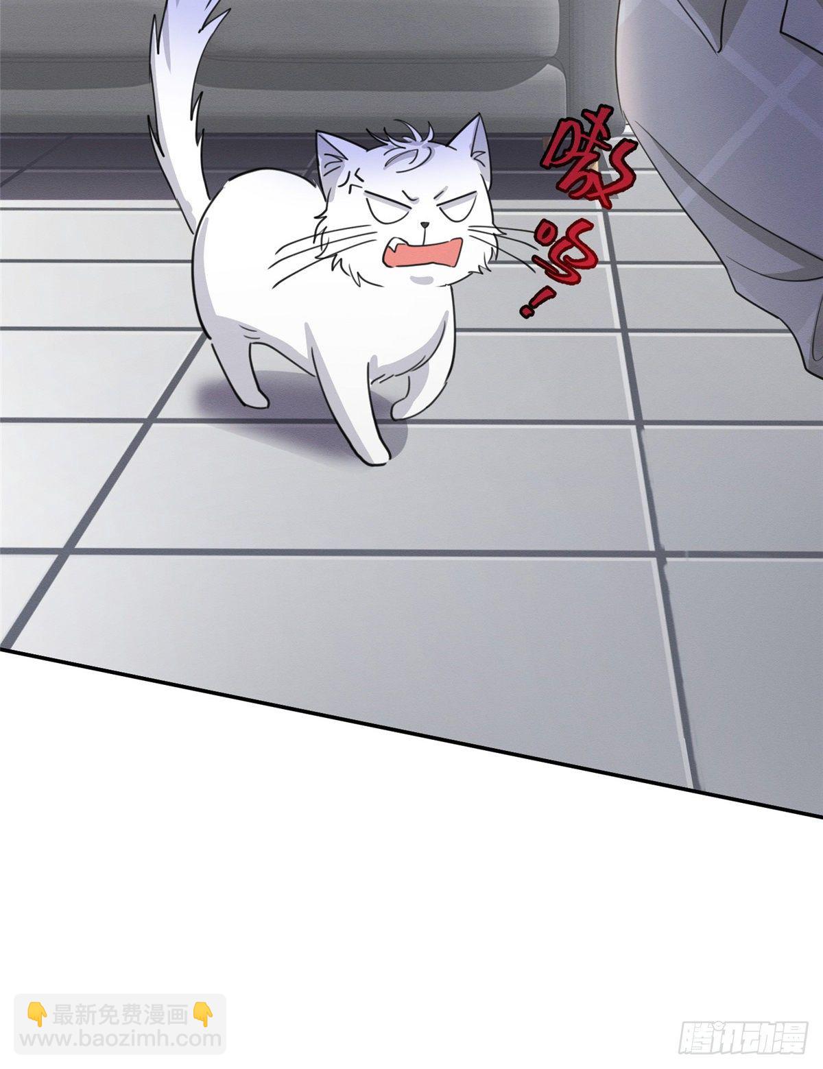 《今天也要努力当只猫》第15话 秘密 第39页