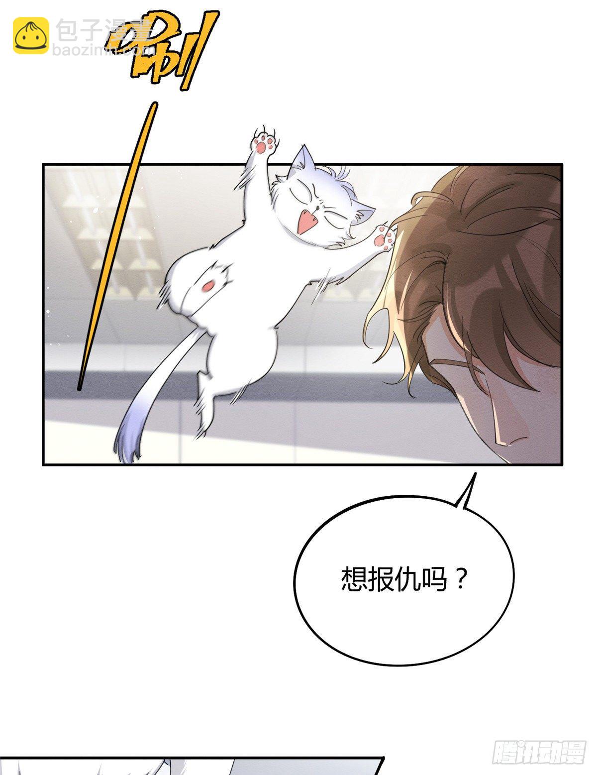《今天也要努力当只猫》第15话 秘密 第40页