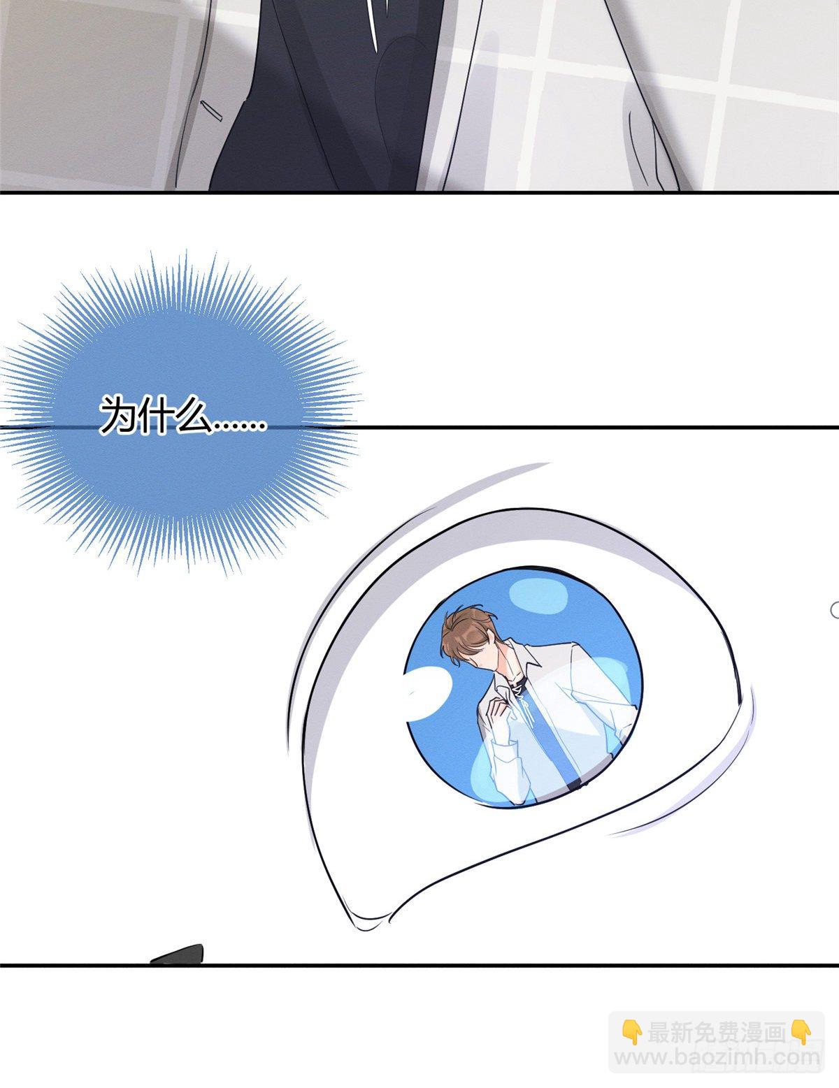 《今天也要努力当只猫》第15话 秘密 第44页