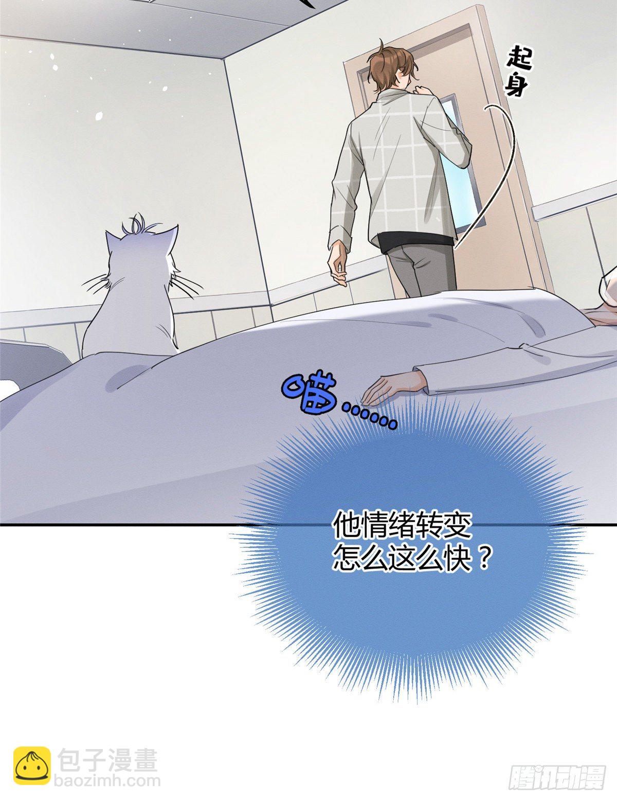 《今天也要努力当只猫》第15话 秘密 第48页