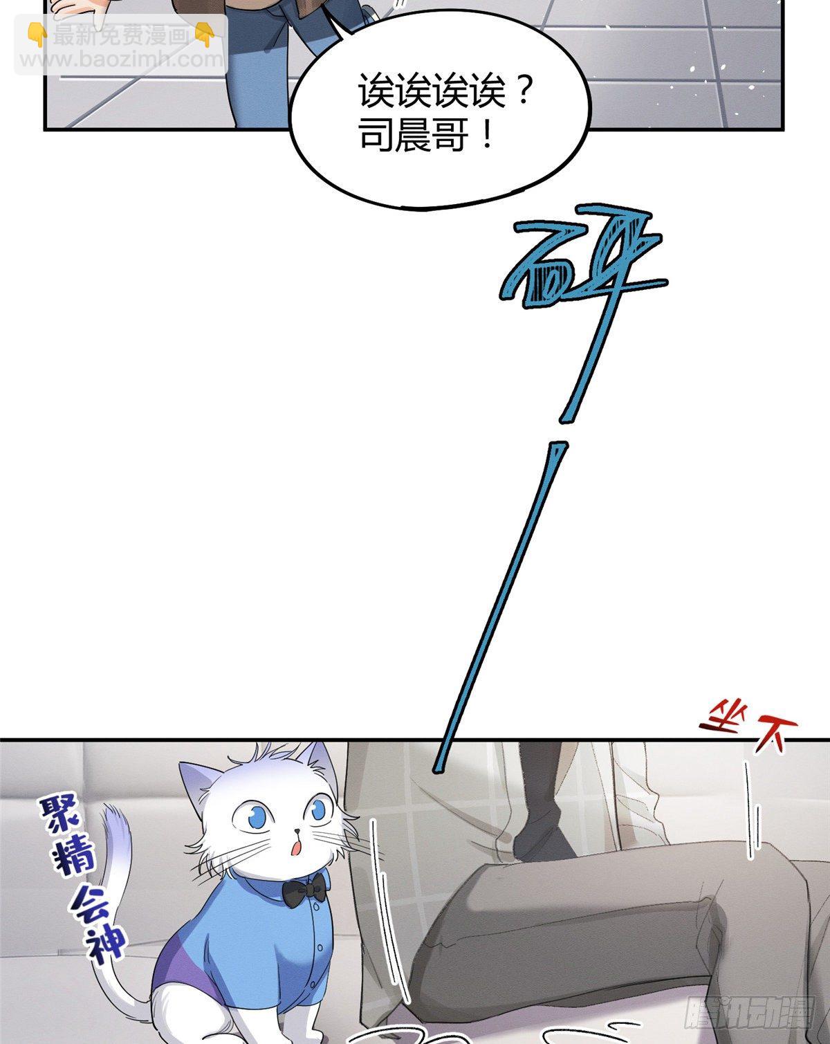 《今天也要努力当只猫》第15话 秘密 第5页