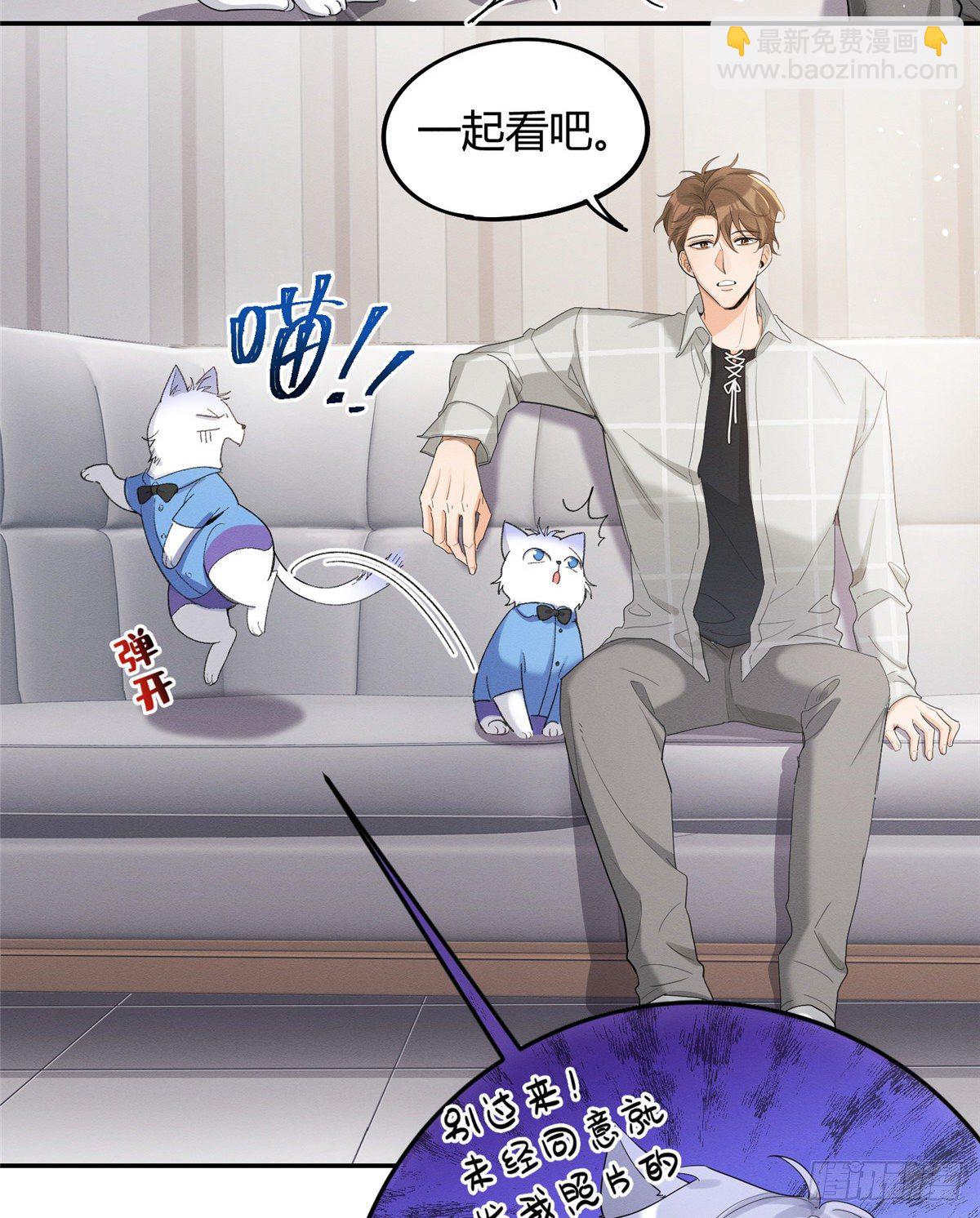 《今天也要努力当只猫》第15话 秘密 第6页