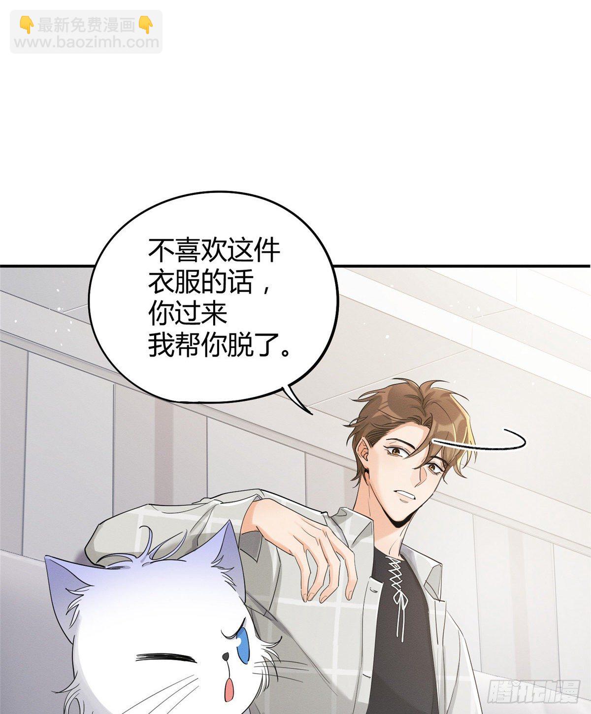 《今天也要努力当只猫》第15话 秘密 第8页