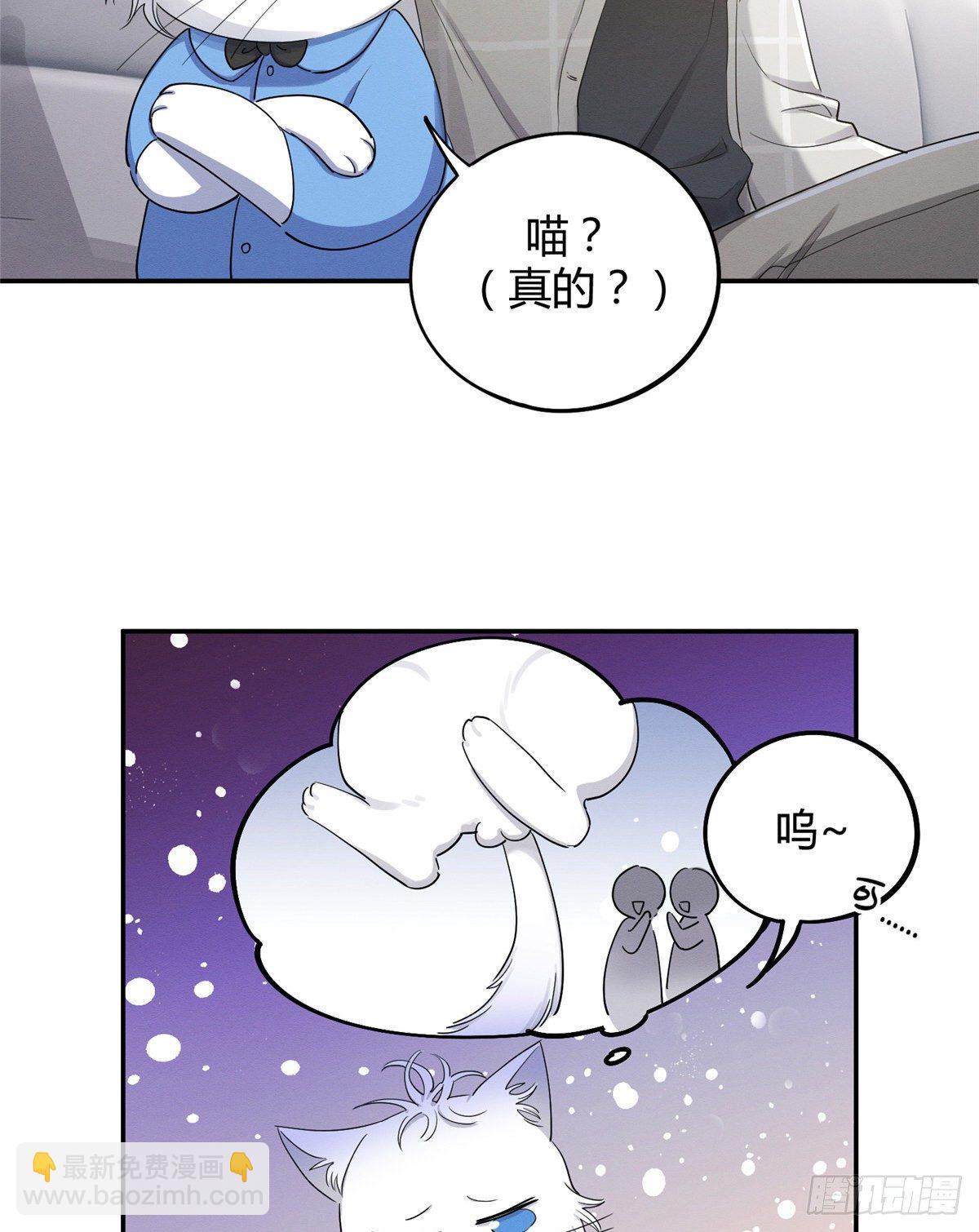 《今天也要努力当只猫》第15话 秘密 第9页