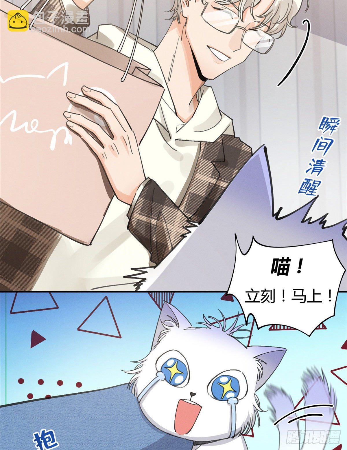 《今天也要努力当只猫》第14话 小仙女 第17页