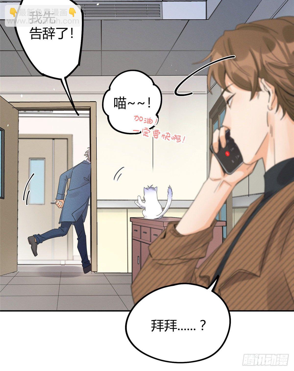 《今天也要努力当只猫》第13话 我的初吻TAT 第15页
