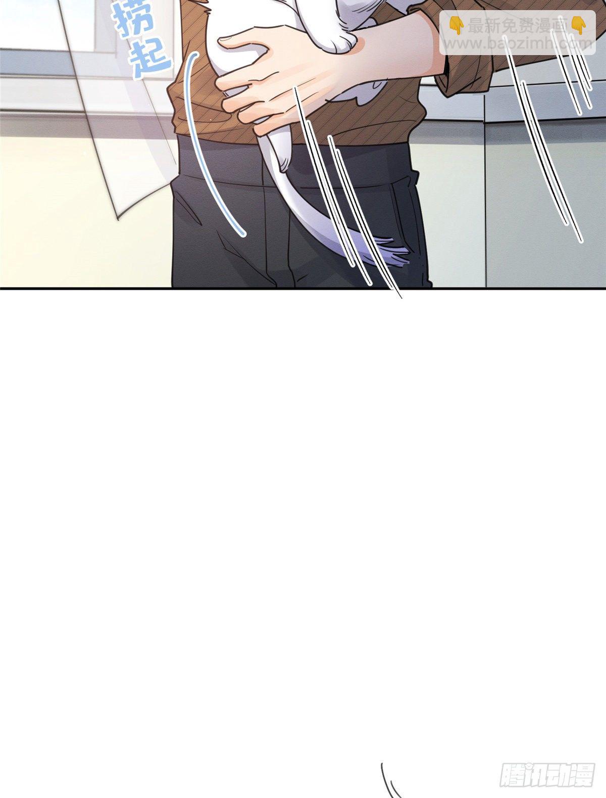《今天也要努力当只猫》第13话 我的初吻TAT 第19页
