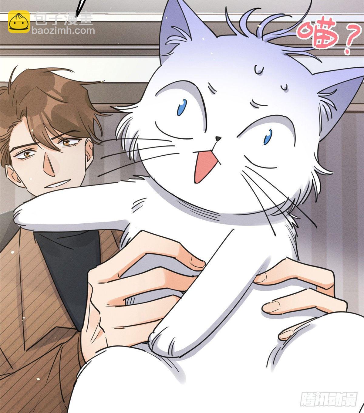 《今天也要努力当只猫》第13话 我的初吻TAT 第34页